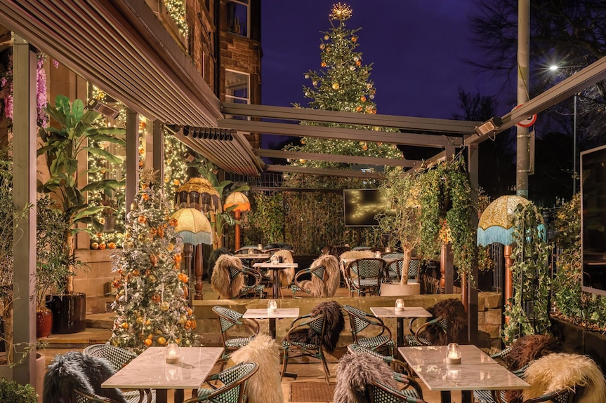 Black Ivy Hotel, Edinburgh: 2026 Info, Photos, Reviews | Book at Hotels.com