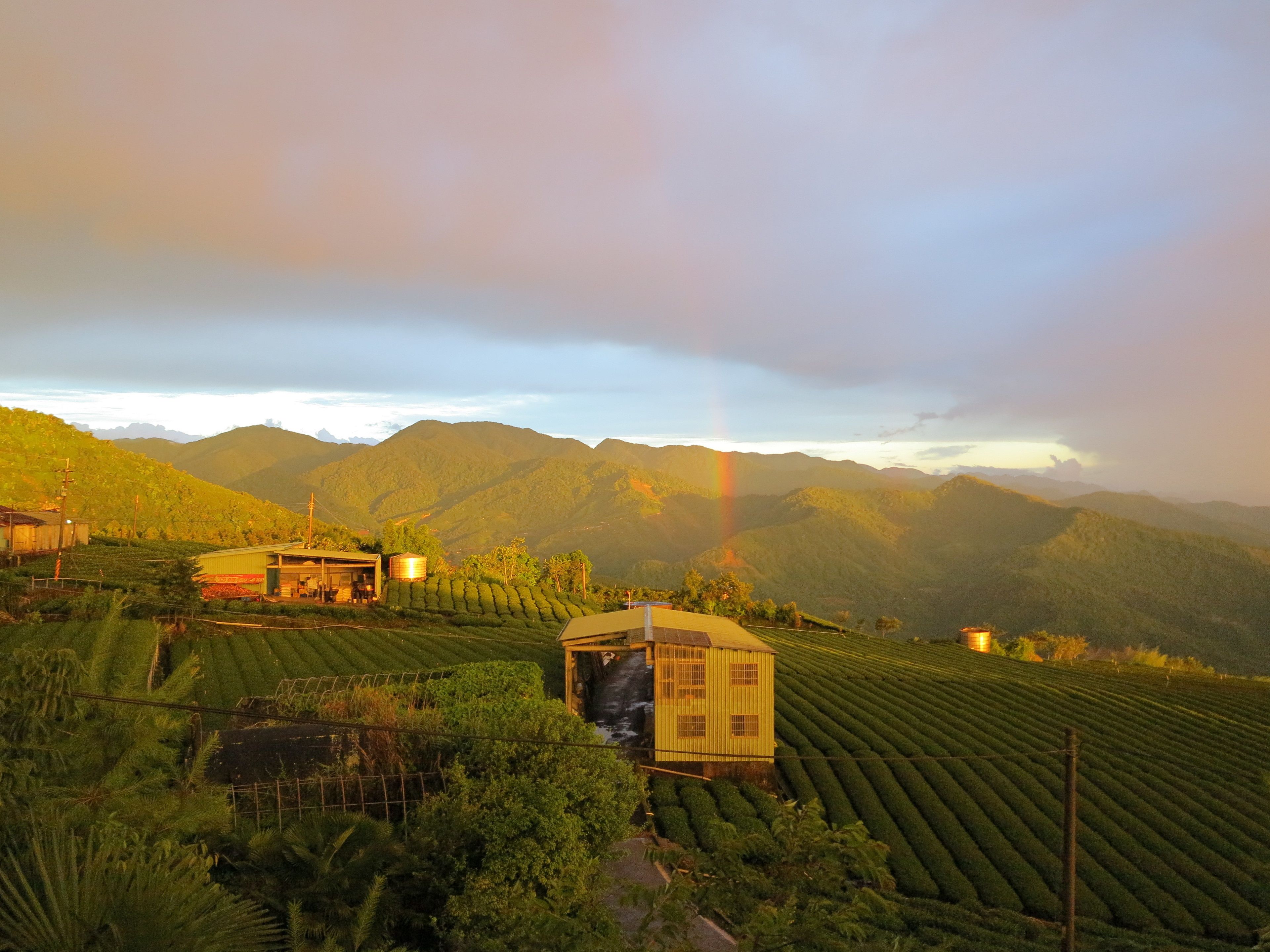A rural landscape with terraced fields and a small yellow building.