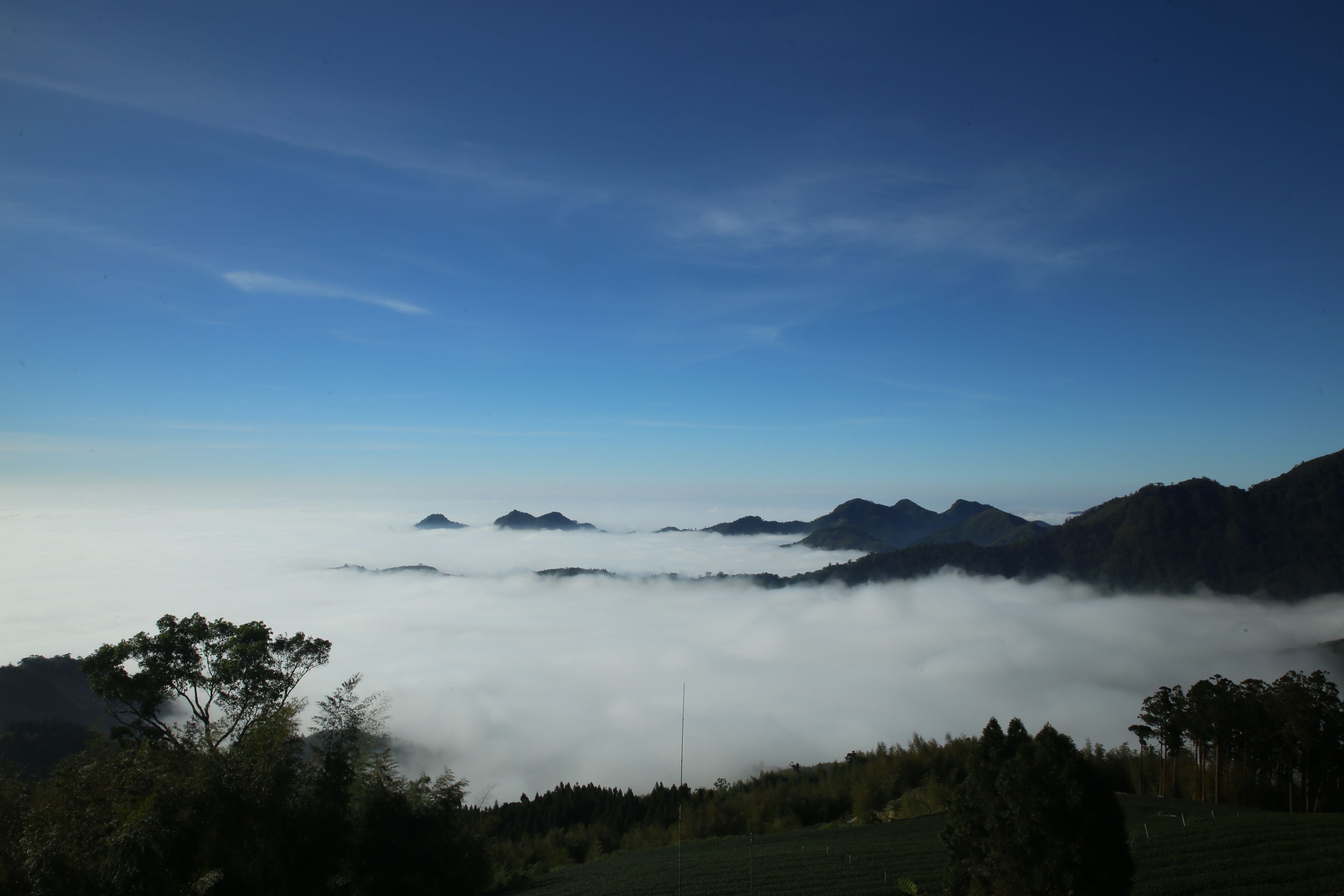 A mountainous landscape with a valley and a forested area.