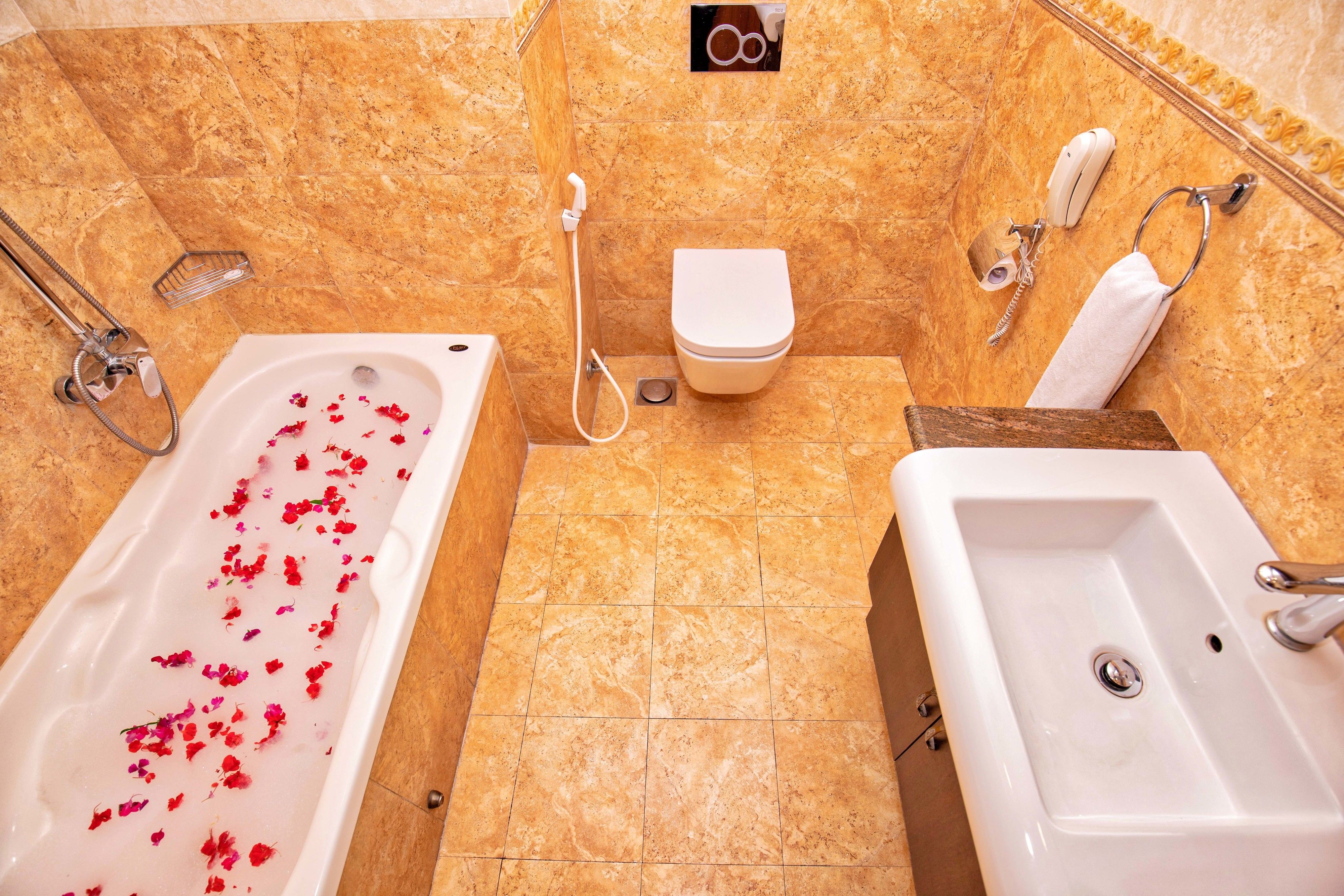 combined shower/bathtub, free toiletries, hair dryer, bathrobes