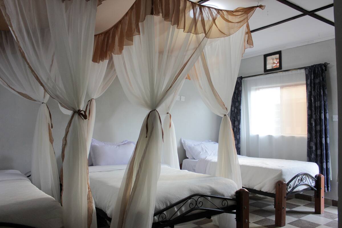 A room with two beds, each with white bedding and a canopy.
