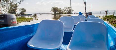 A row of blue plastic chairs on a boat with a motor, surrounded by water and trees.