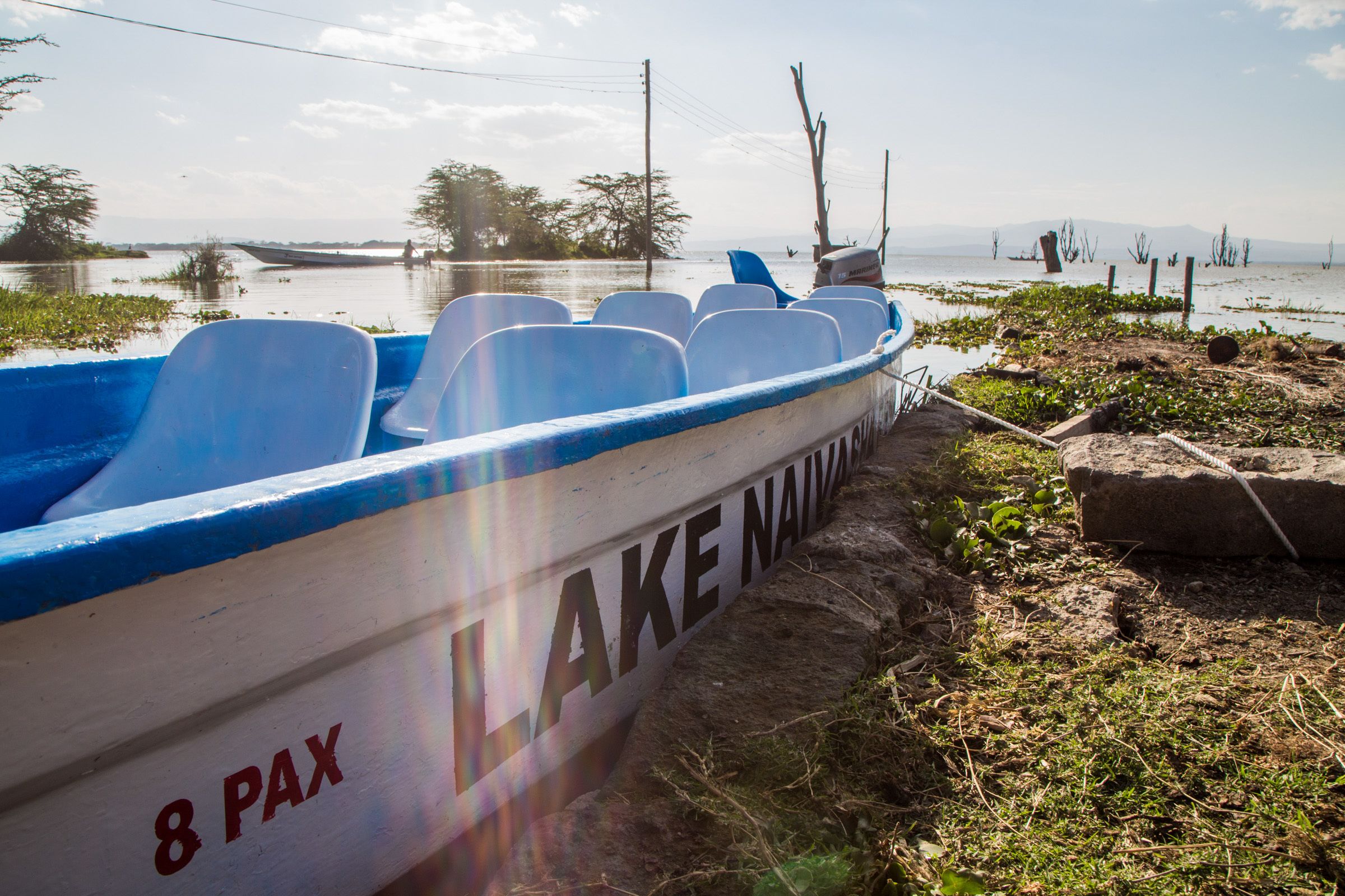 A boat named "LAKE NAIVIN" with the number "8 PAX" on its side, docked at a lakeside with a grassy shore and trees in the background.