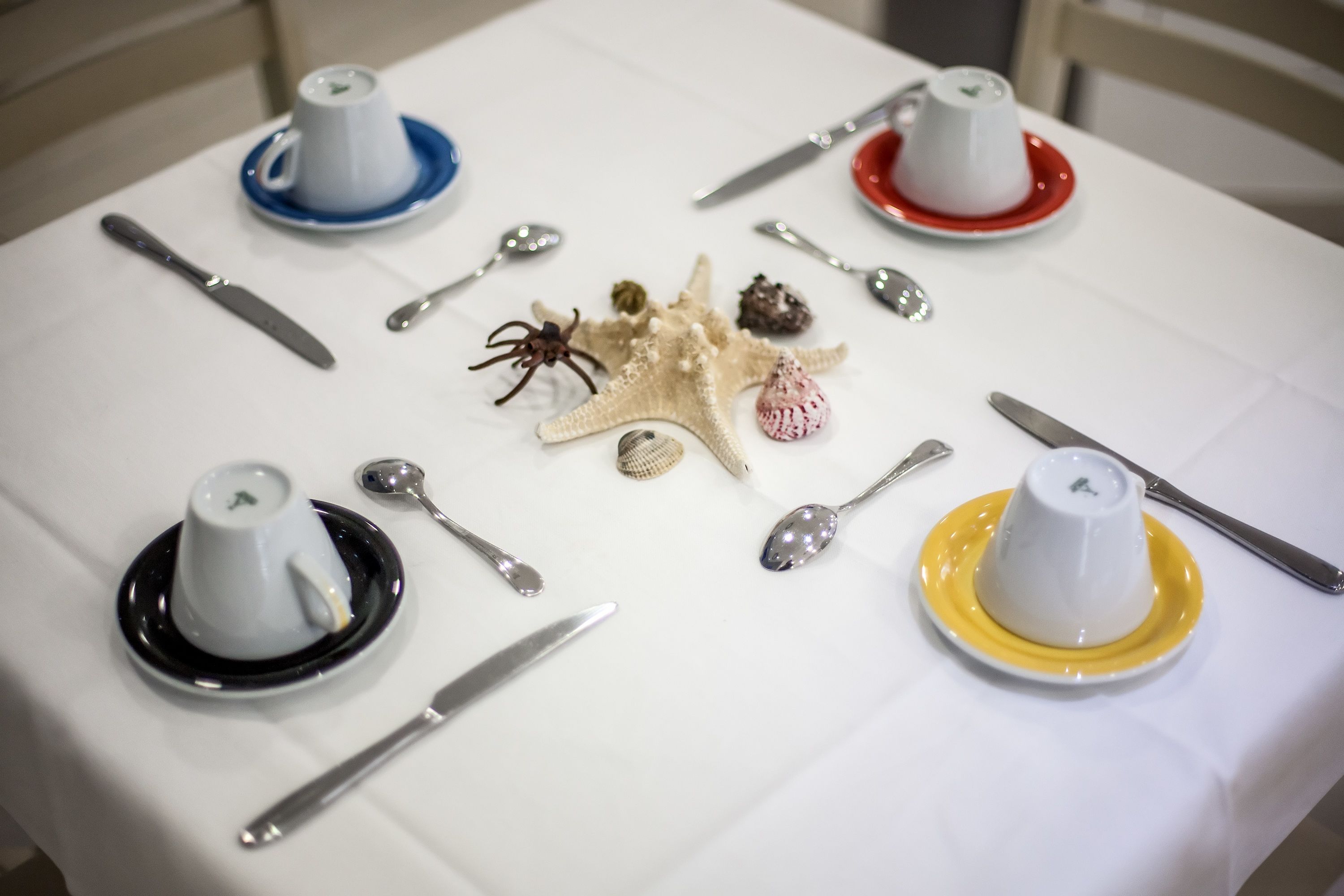 Una mesa dispuesta con teteras blancas, cucharas y una estrella de mar como centro de mesa.