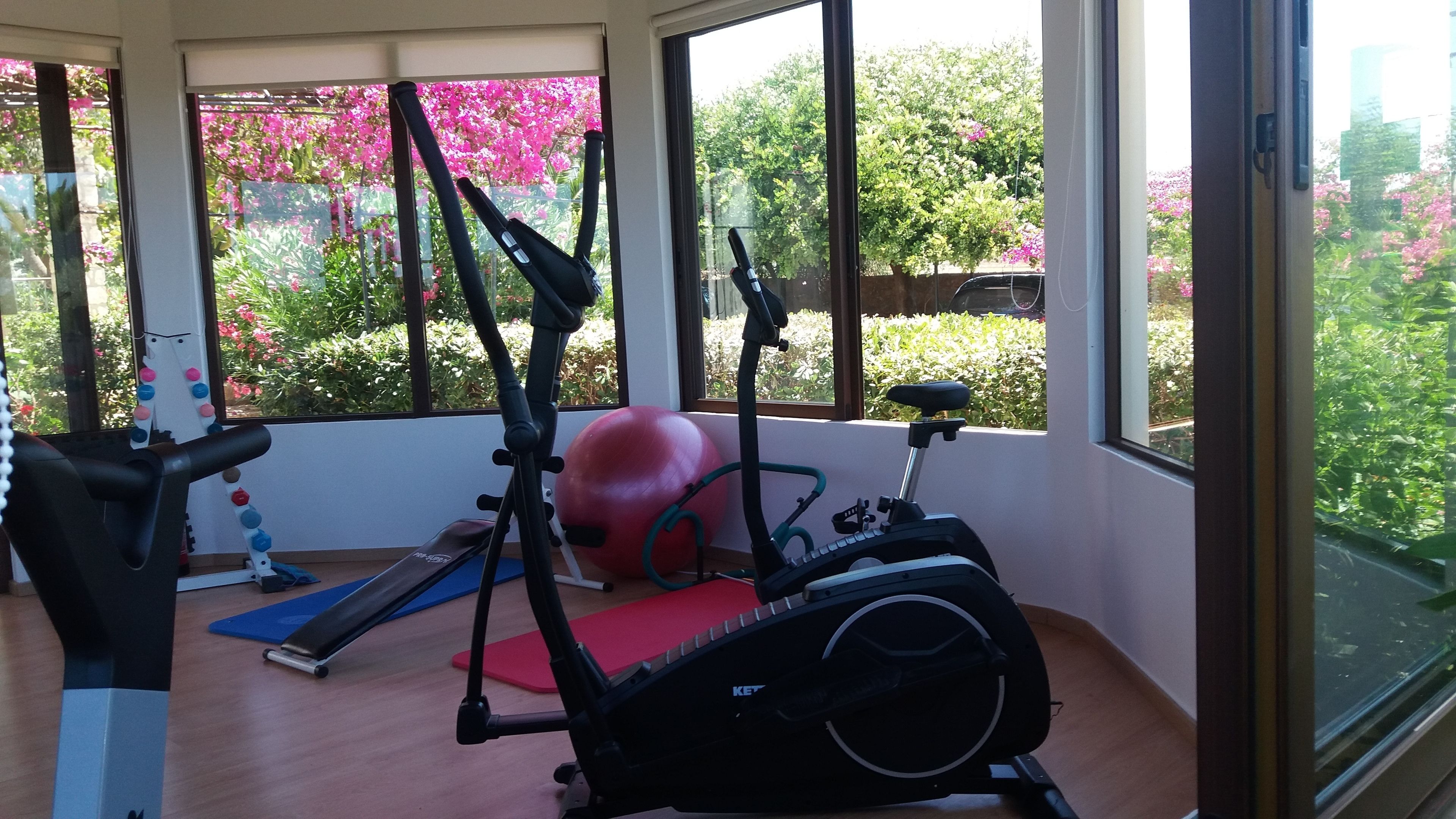A home gym with exercise equipment including a treadmill, elliptical, and stationary bike, with a large window overlooking a garden with pink flowers.
