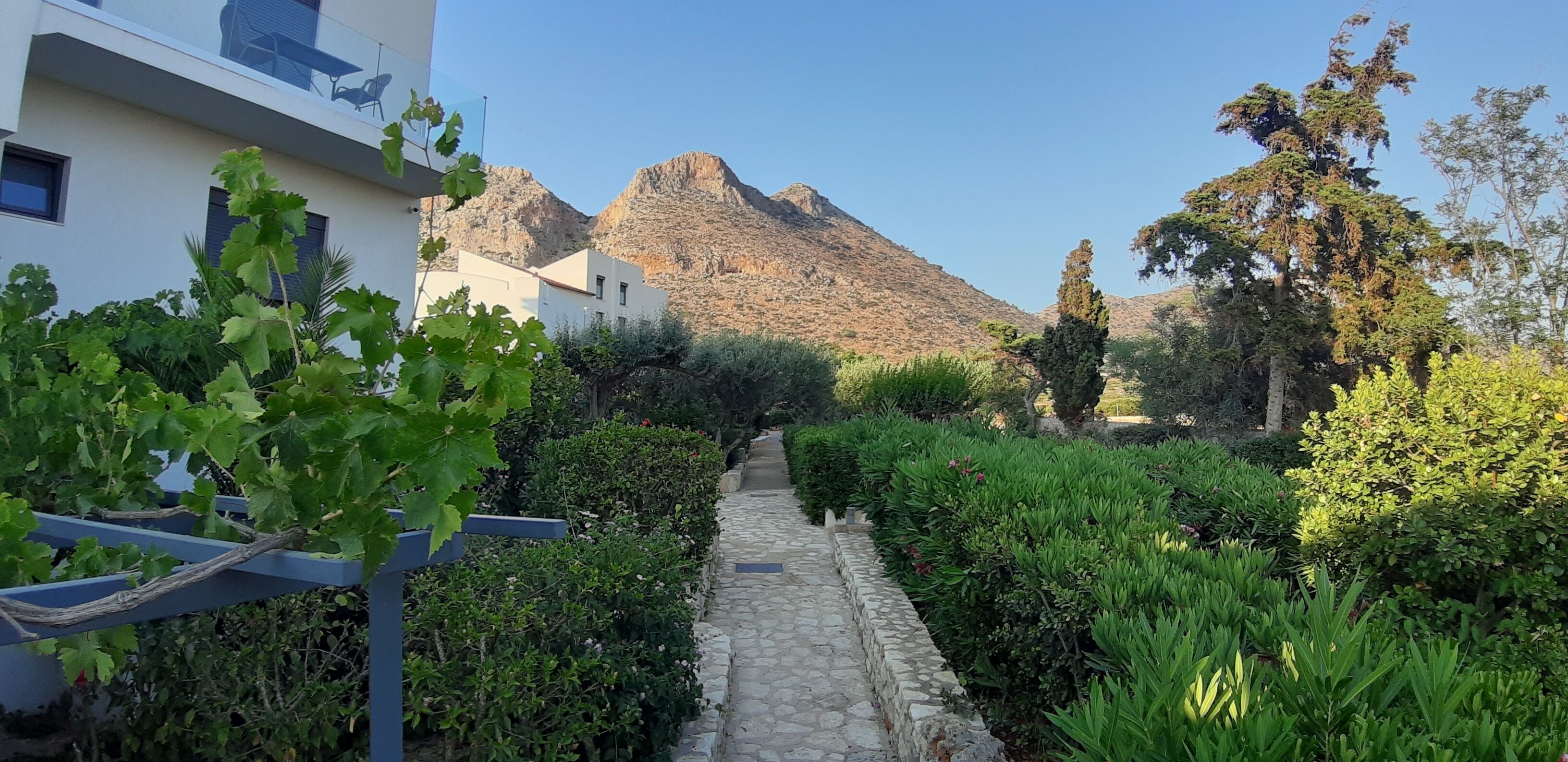 Un sendero de piedra que lleva a una vista de la montaña, rodeado de abundante vegetación y edificios modernos.
