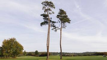 A golf course with two tall trees, a green field, and a distant view of a golf cart.