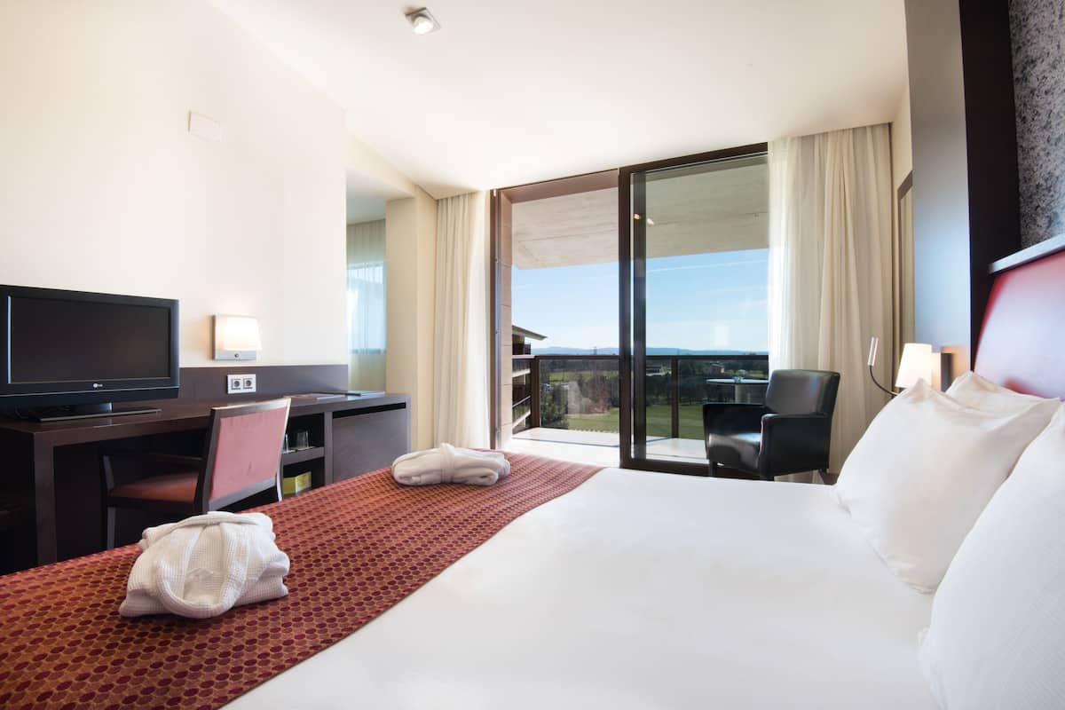 A hotel room with a large bed, a desk with a television, a chair, and a view of the outdoors.