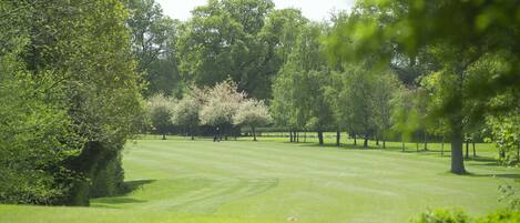 Un terrain de golf bien entretenu, avec une végétation luxuriante et de nombreux arbres.