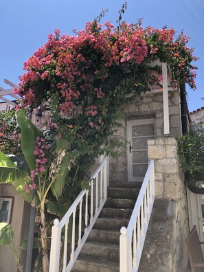 Jardín