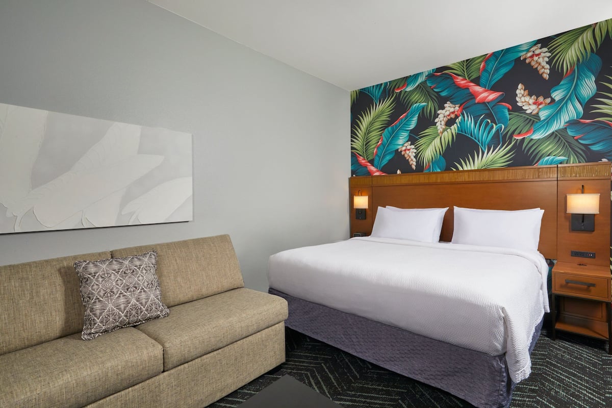 Room, 1 King Bed with Sofa bed
