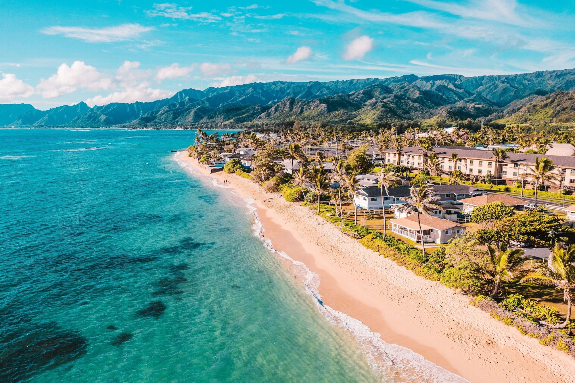 THE BEST 10 Hot Dogs near NORTH SHORE, WAIALUA, HI - Last Updated