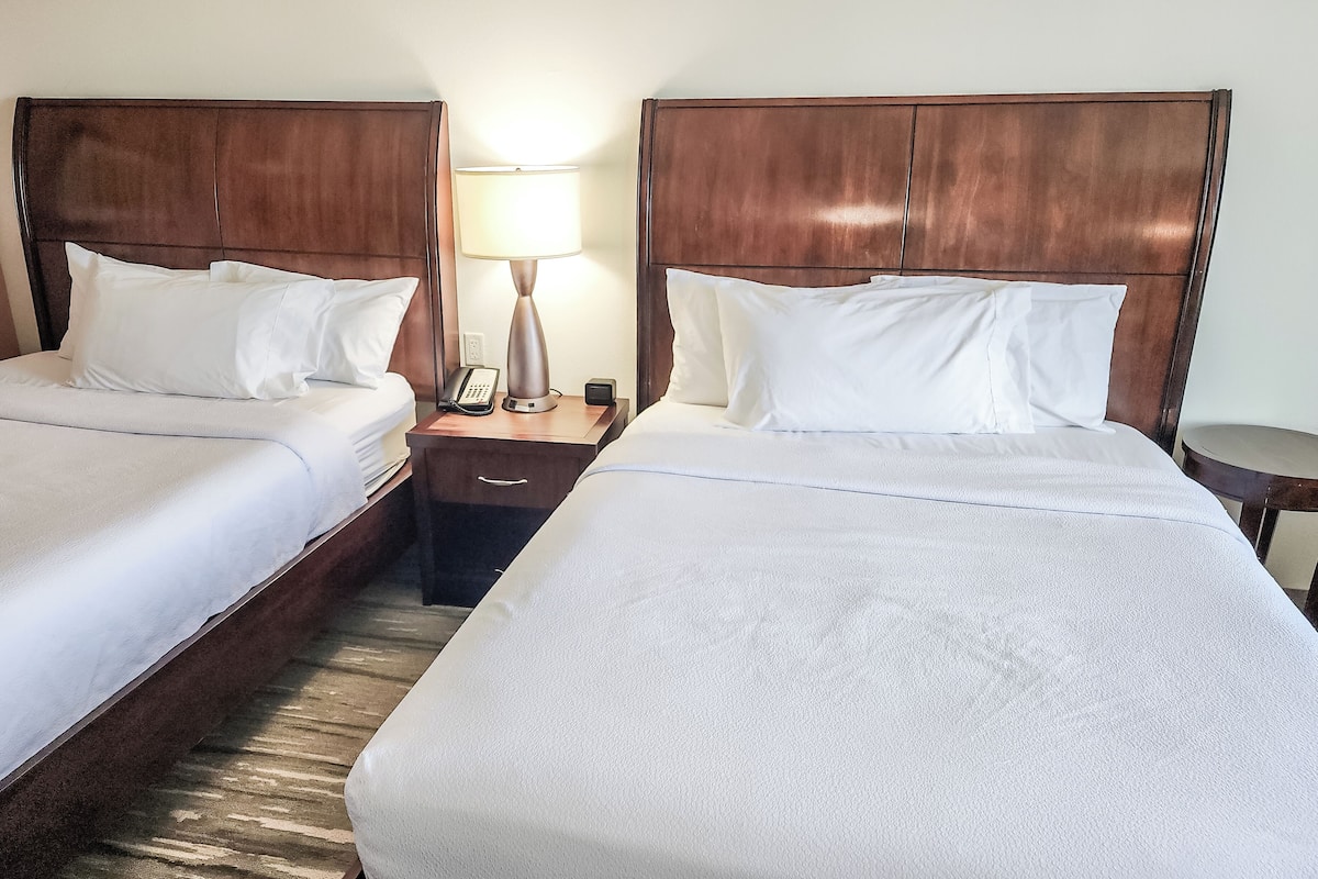 premium bedding, in-room safe, desk, free cots/infant beds