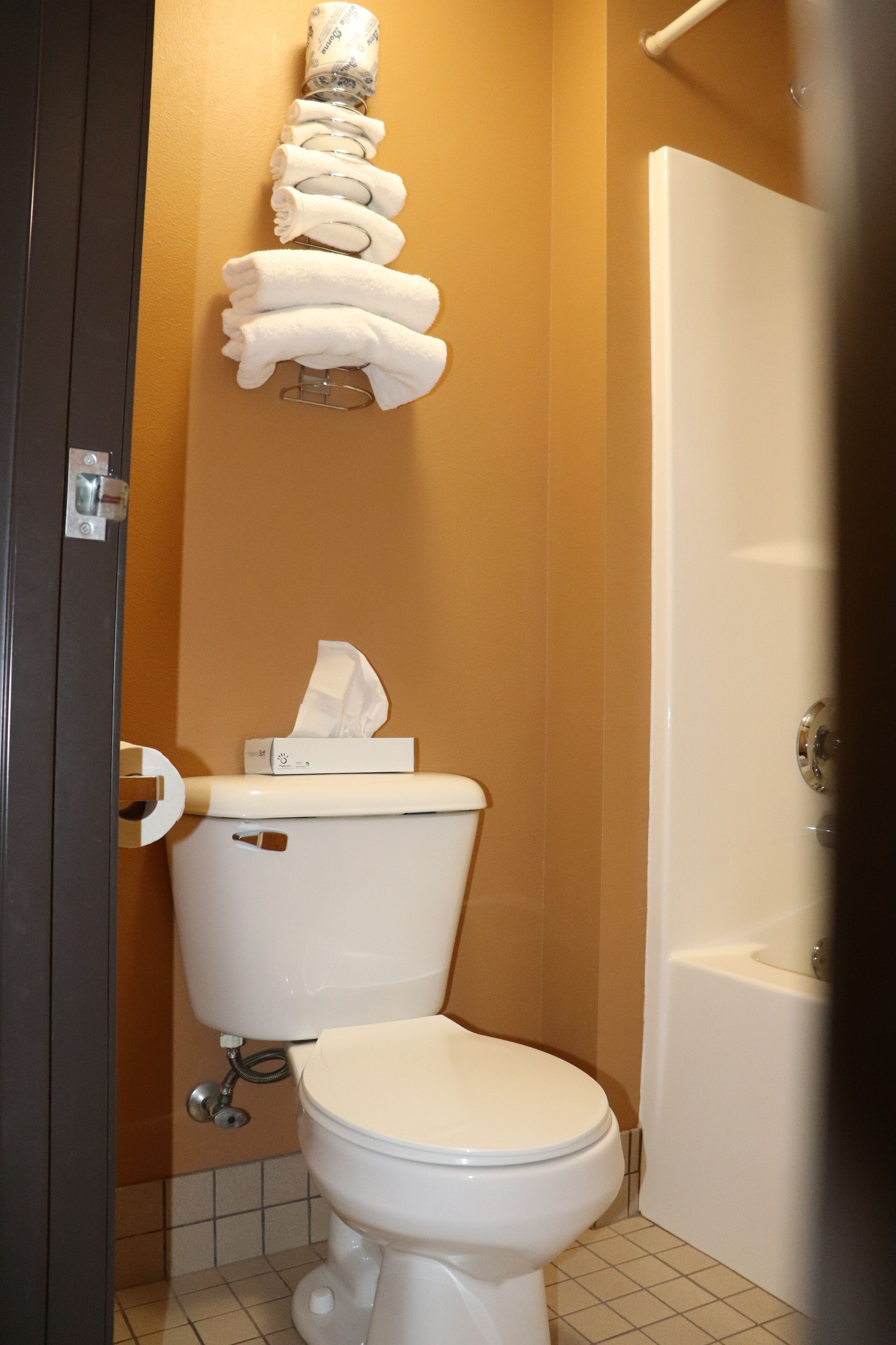 combined shower/bathtub, free toiletries, hair dryer