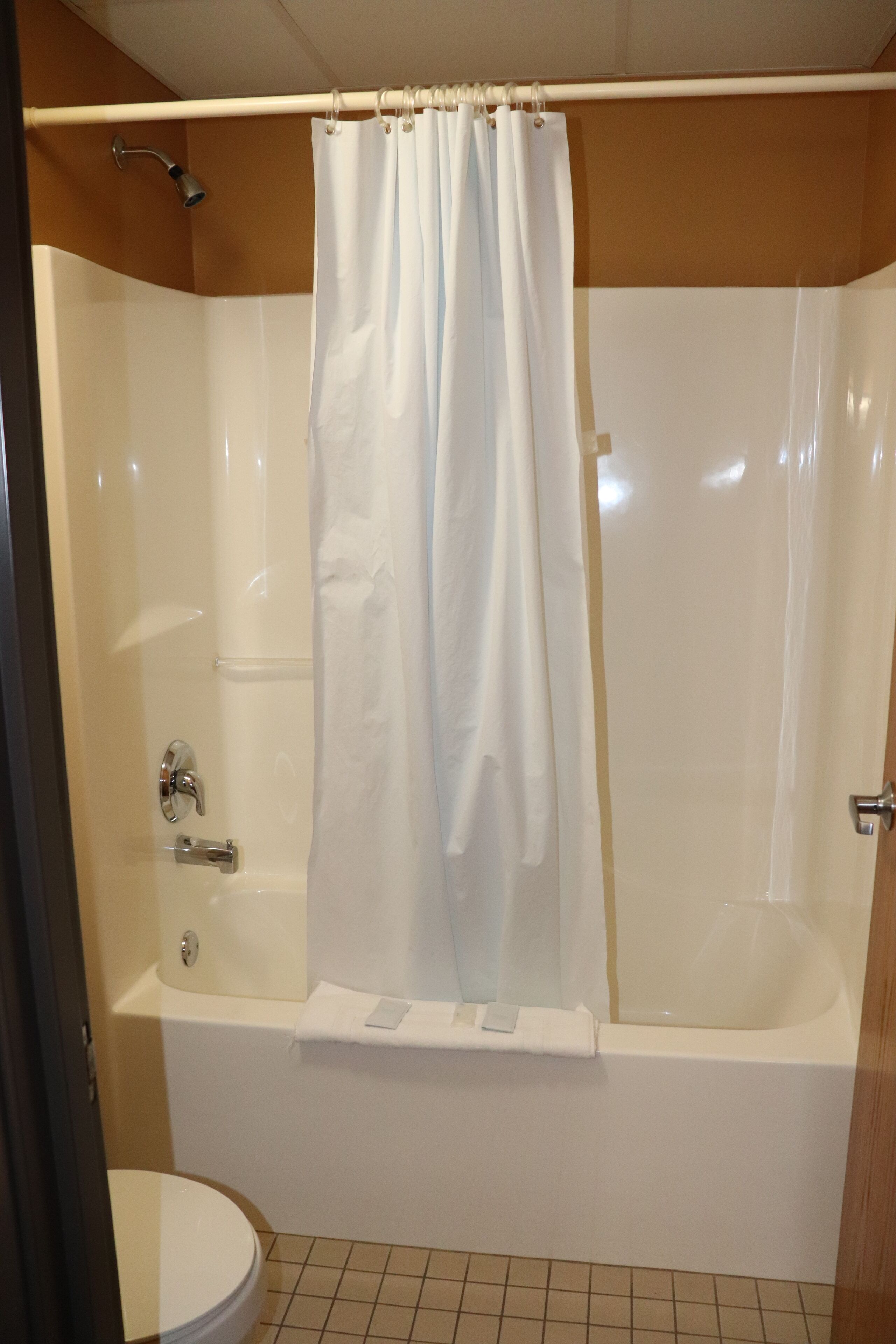 combined shower/bathtub, free toiletries, hair dryer