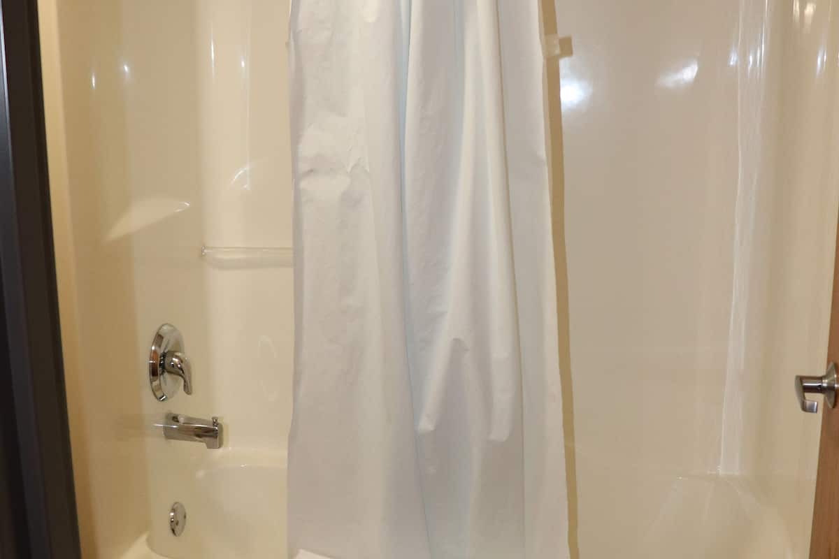 combined shower/bathtub, free toiletries, hair dryer