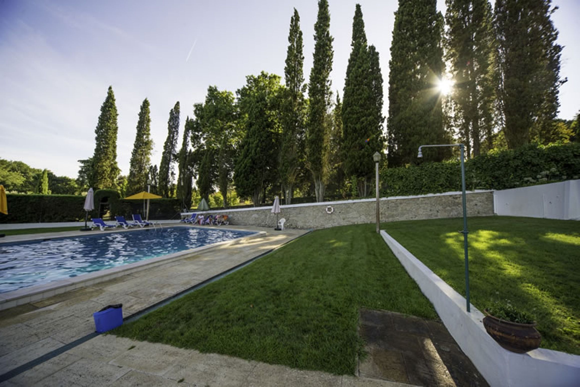 Une piscine bordée d’une pelouse, avec de grands arbres en arrière-plan.