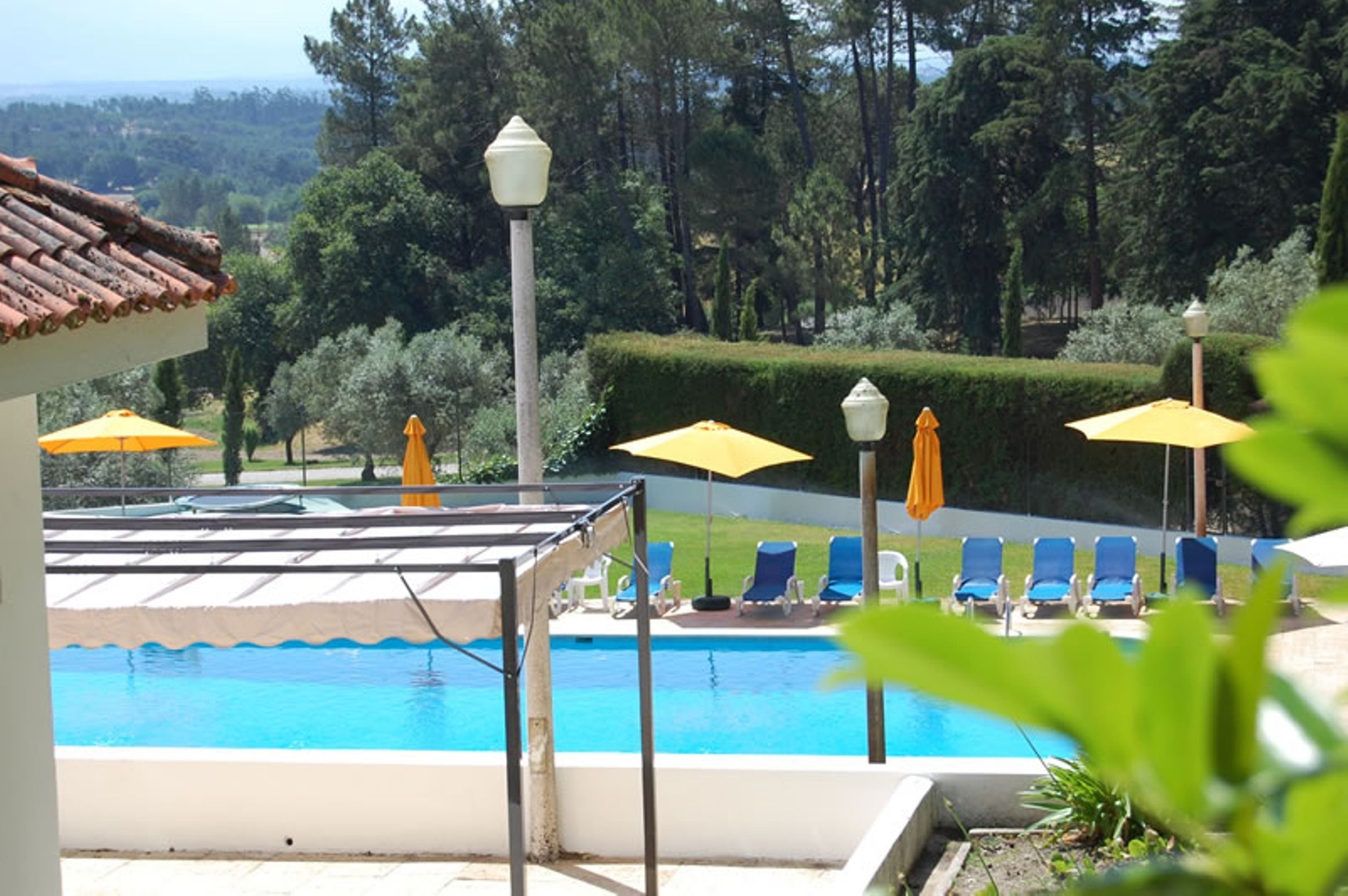 Une piscine à l’eau bleue, entourée de chaises longues bleues et de parasols jaunes.