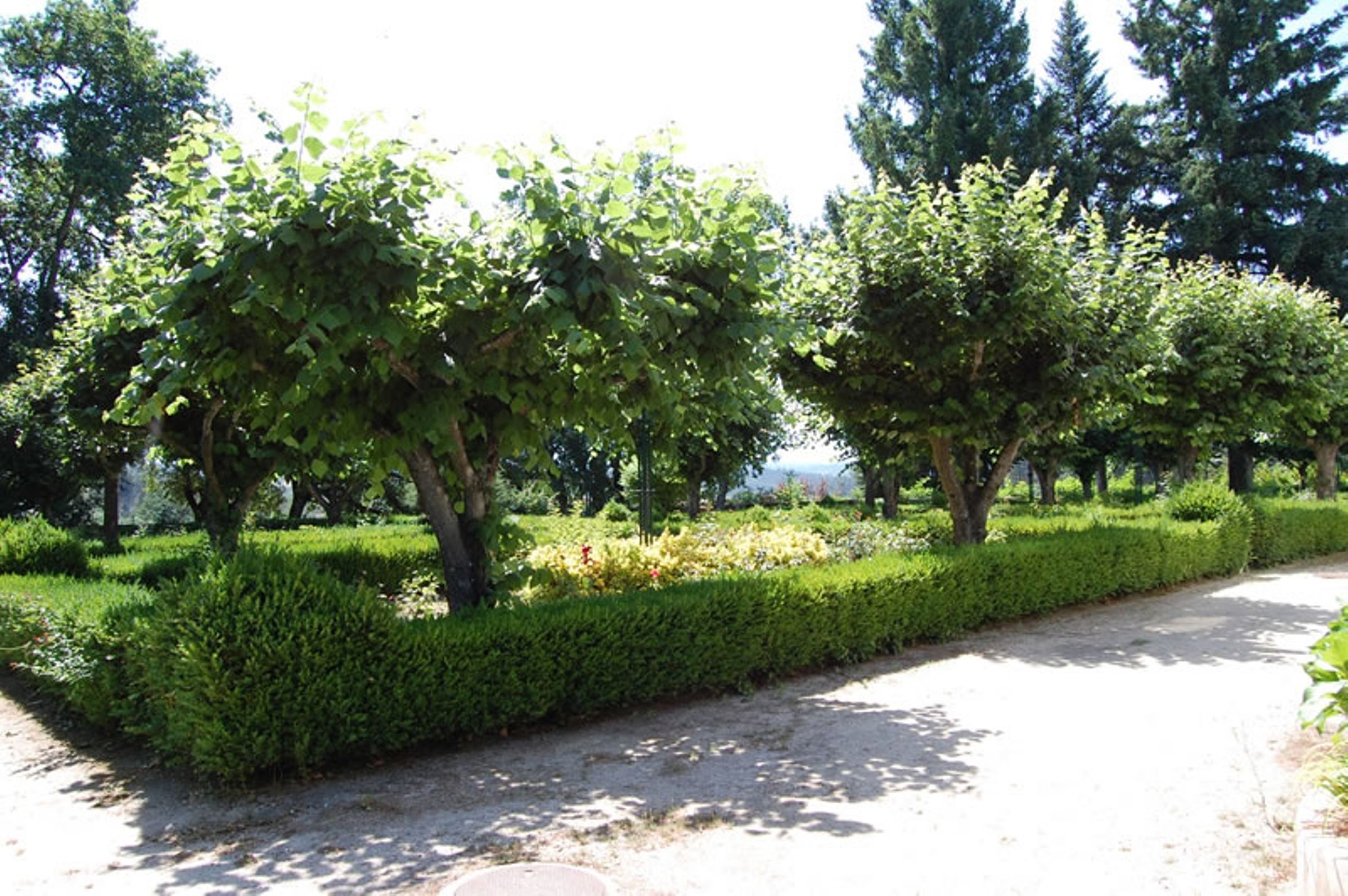Un sendero bordeado por setos y árboles bien cuidados, que atraviesa un entorno similar a un parque.