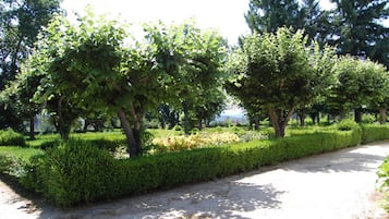 Un sendero bordeado por setos y árboles bien cuidados, que atraviesa un entorno similar a un parque.