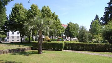 A well-maintained garden with a palm tree, neatly trimmed hedges, and a stone wall.