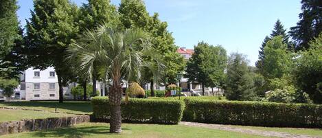 A well-maintained garden with a palm tree, neatly trimmed hedges, and a stone wall.