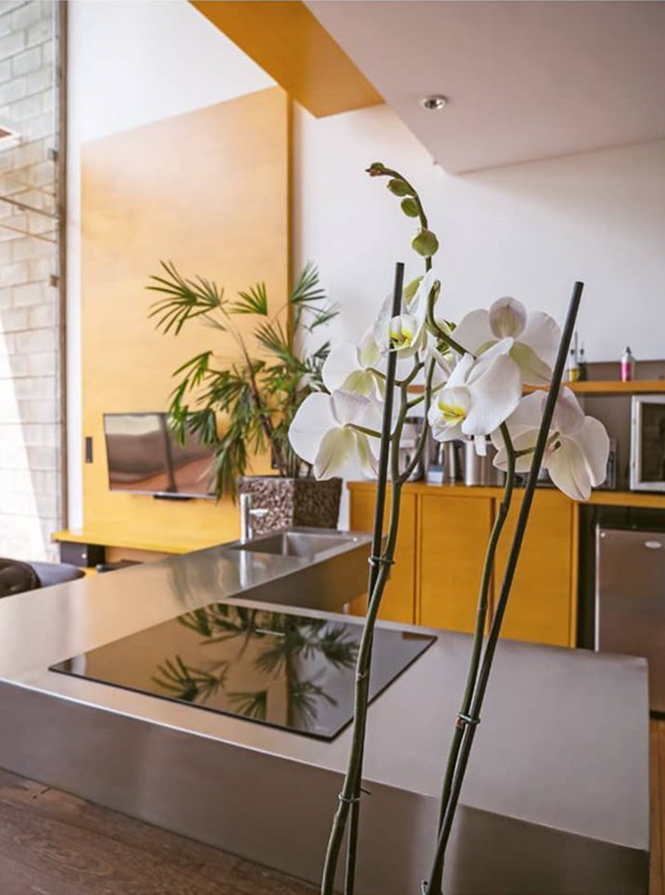 room (junior suite) | private kitchen | full-sized fridge, microwave, dishwasher, coffee/tea maker