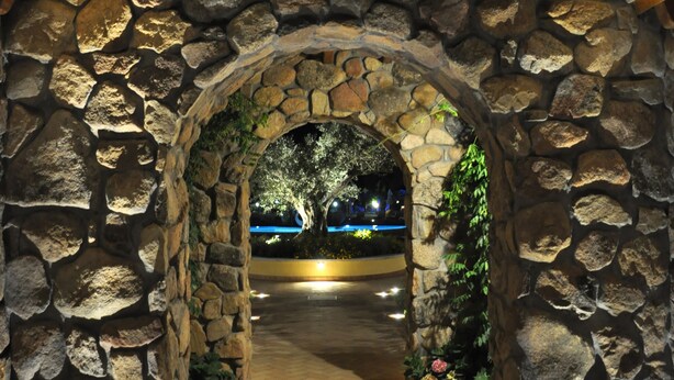 Un arc en pierre mène à un espace pavé agrémenté d’un arbre et de fleurs.