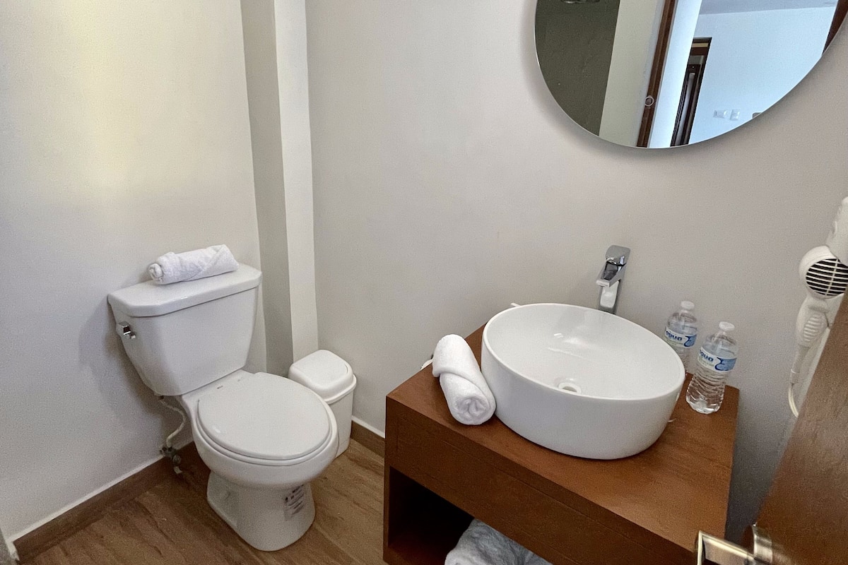 shower, free toiletries, hair dryer, towels