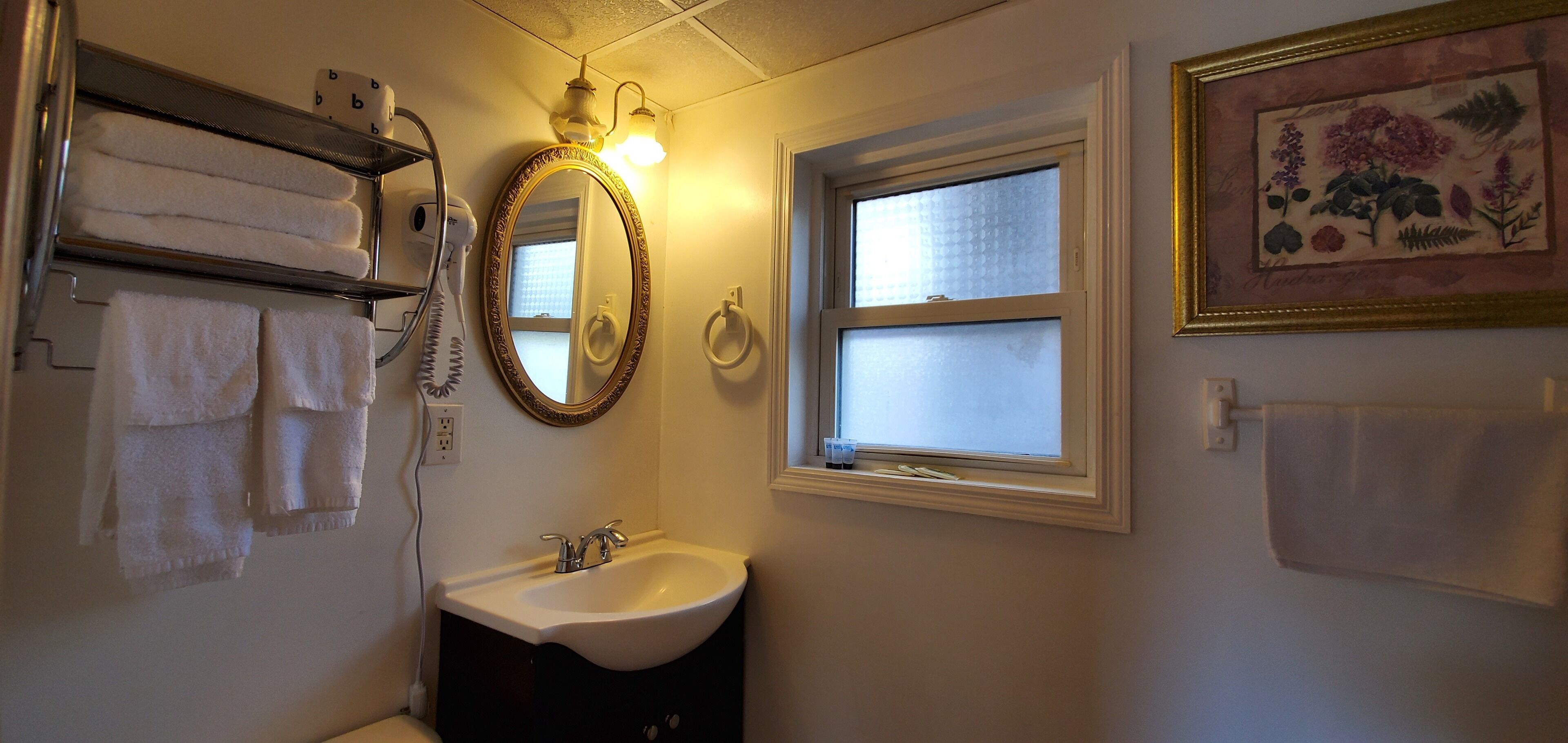 Un baño con un lavabo blanco, un espejo, un perchero para toallas, una ventana e impresión botánica enmarcada en la pared.