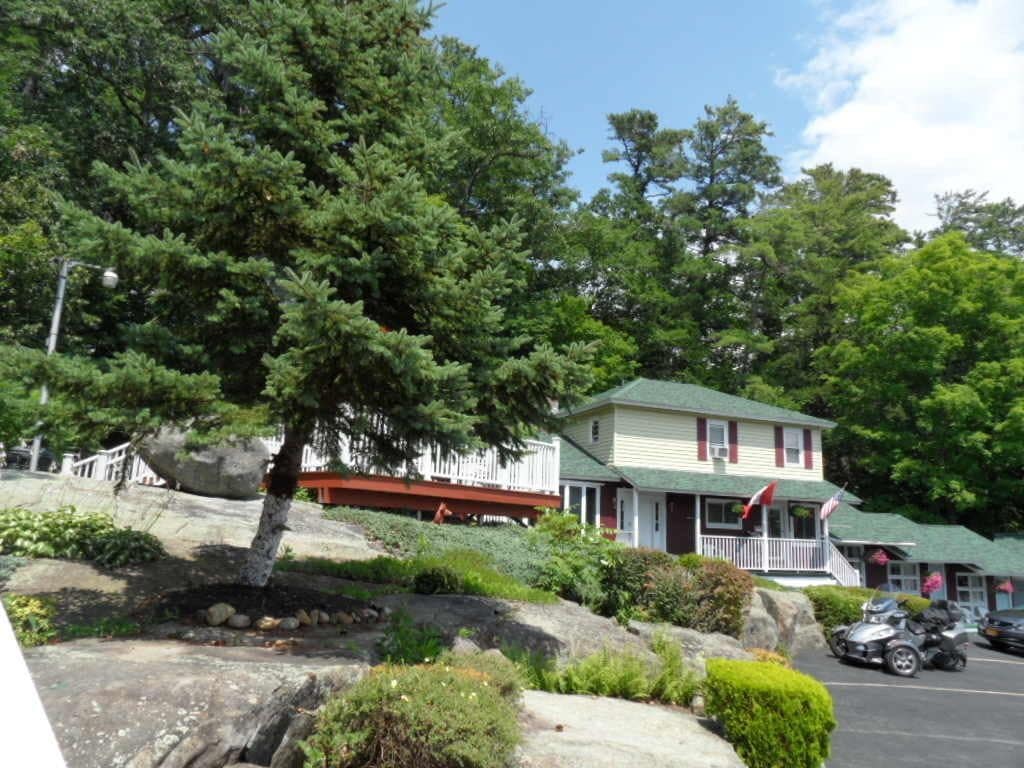 Foto - Pinebrook Motel