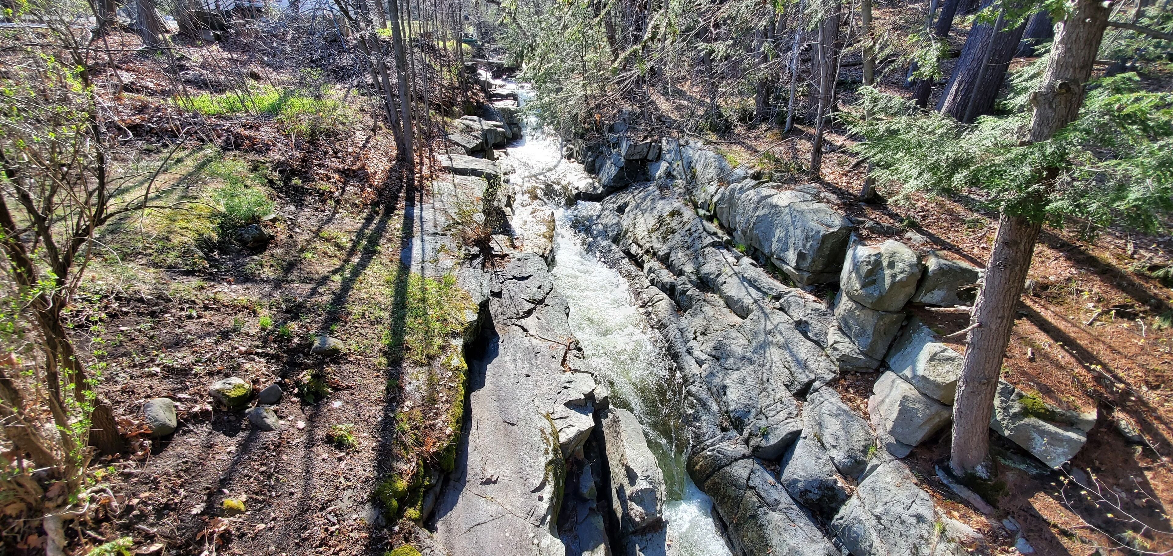 Foto - Pinebrook Motel