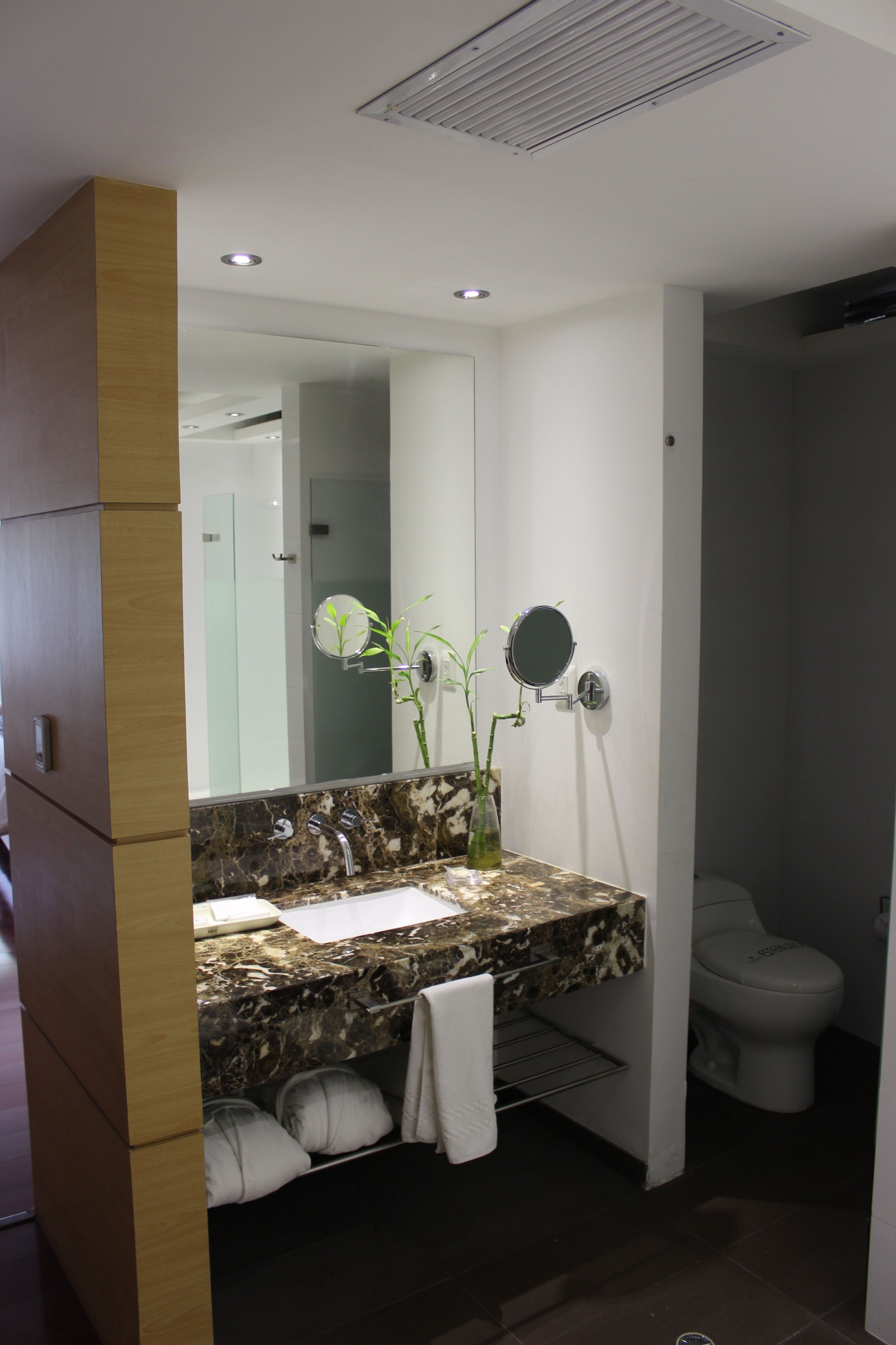 superior room | bathroom | shower, designer toiletries, hair dryer, towels