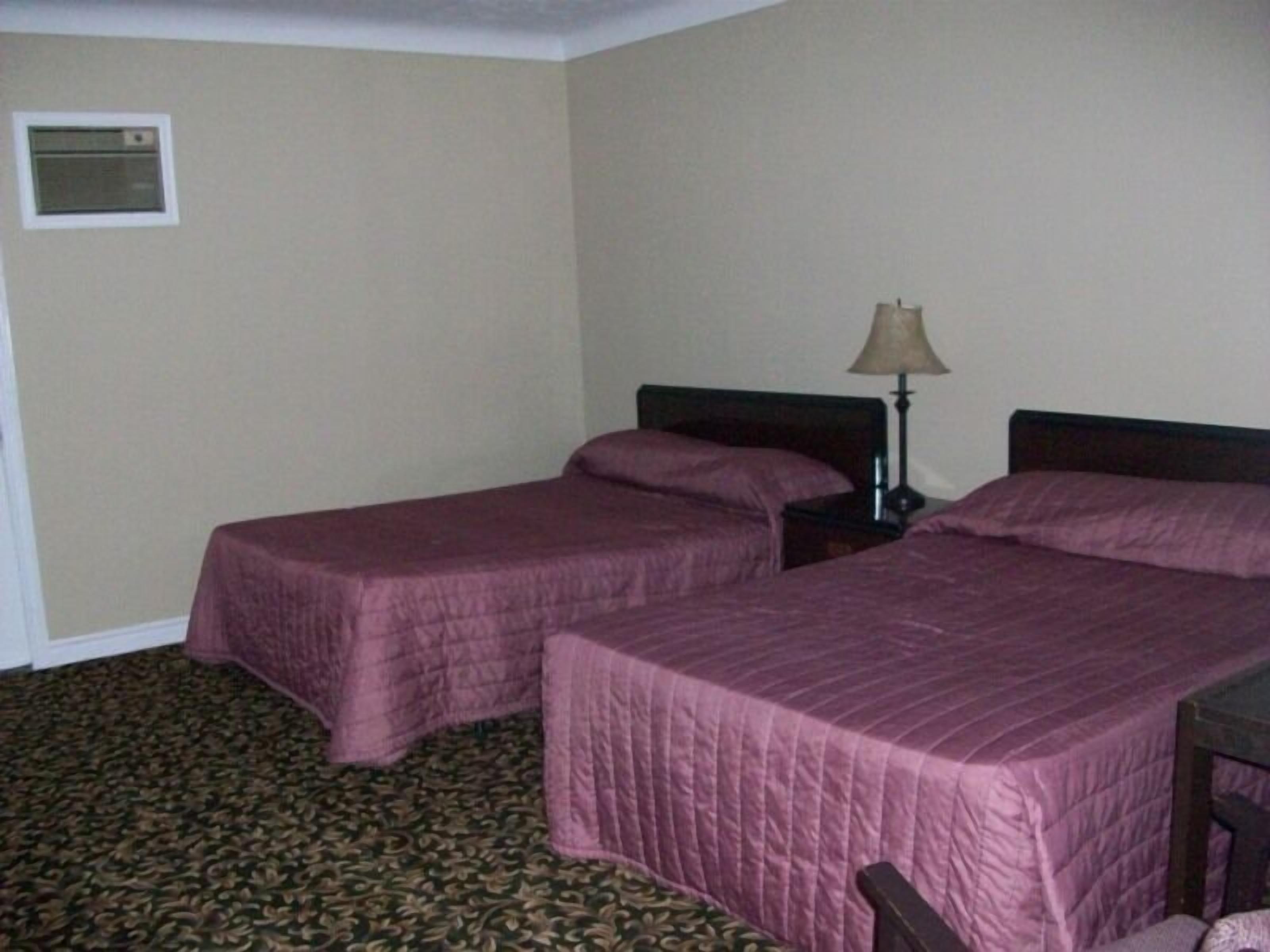 Une chambre d’hôtel avec deux lits simples, une table de chevet avec une lampe et une moquette à motifs.