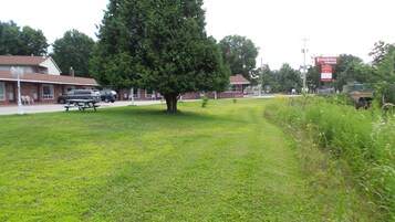 Un motel con una mesa de picnic y un árbol grande al frente.