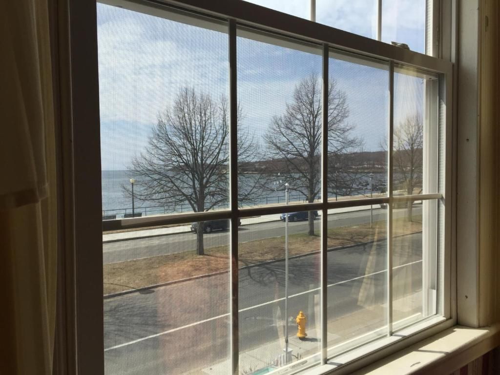 A window with a view of a road and trees.