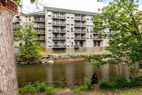 Twin Mountain Inn Suites - Image 50