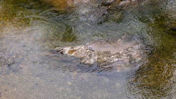 Uma formação natural com água límpida e pedras.