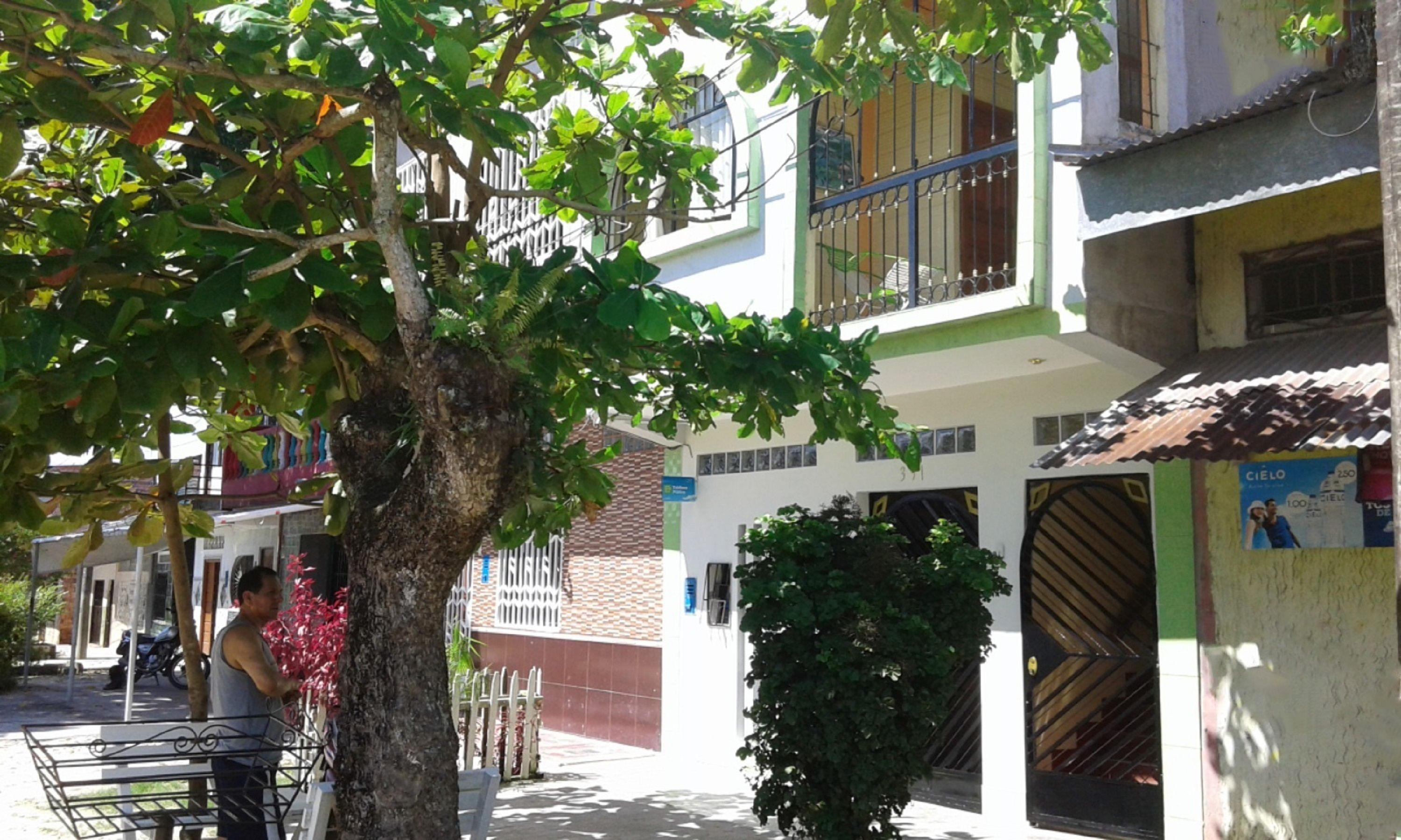 Photo - Amazon House Hostel