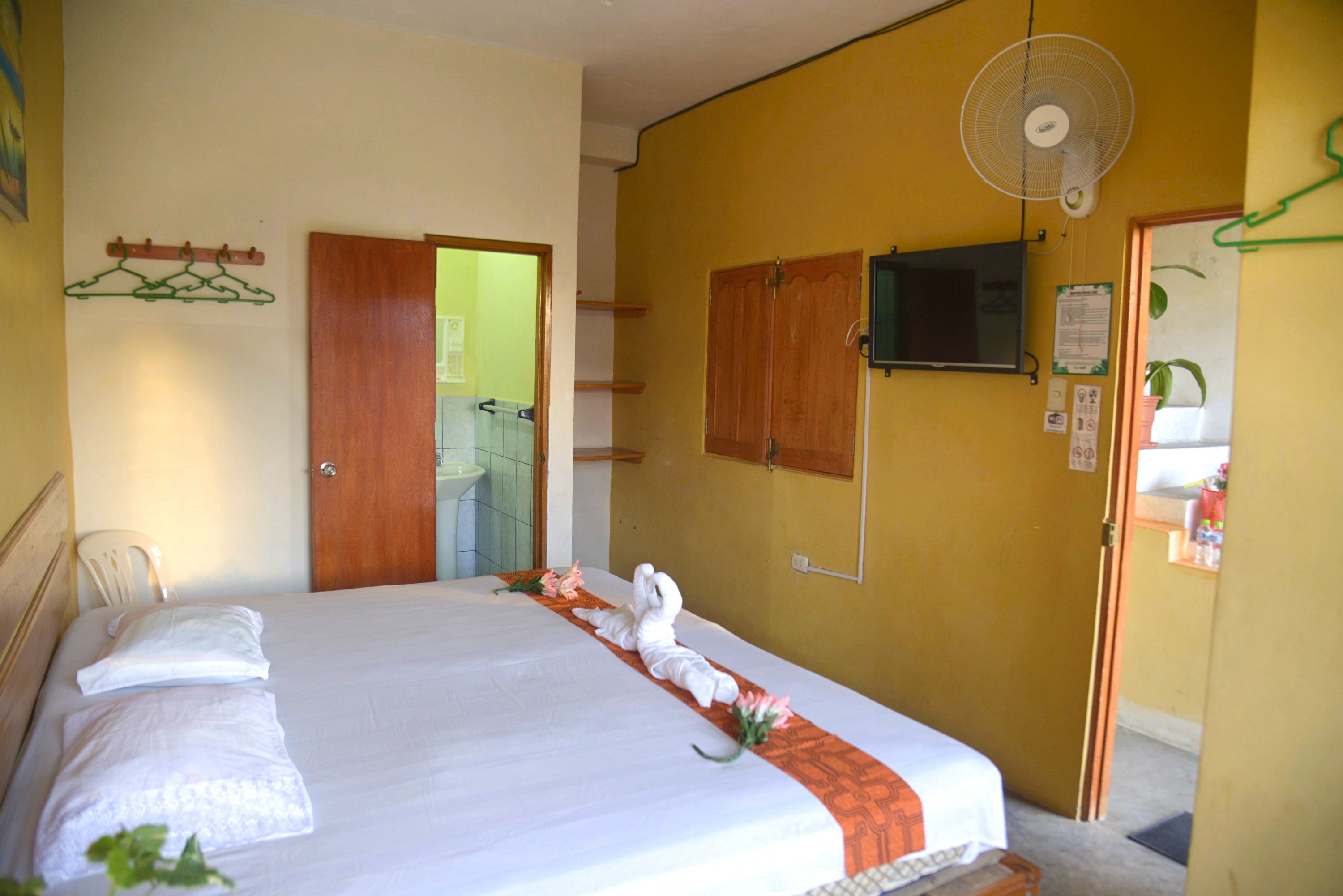 Photo - Amazon House Hostel