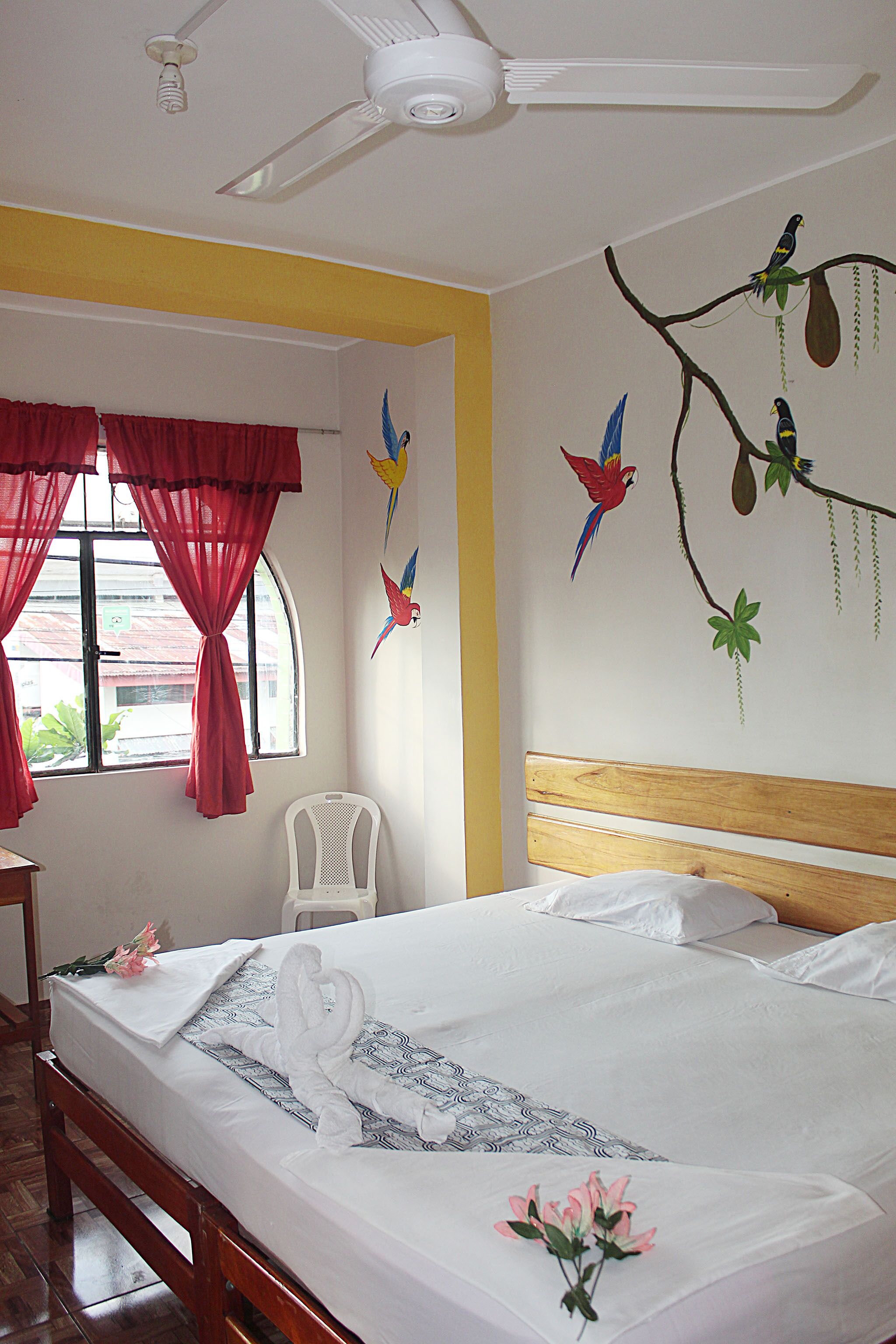 Photo - Amazon House Hostel