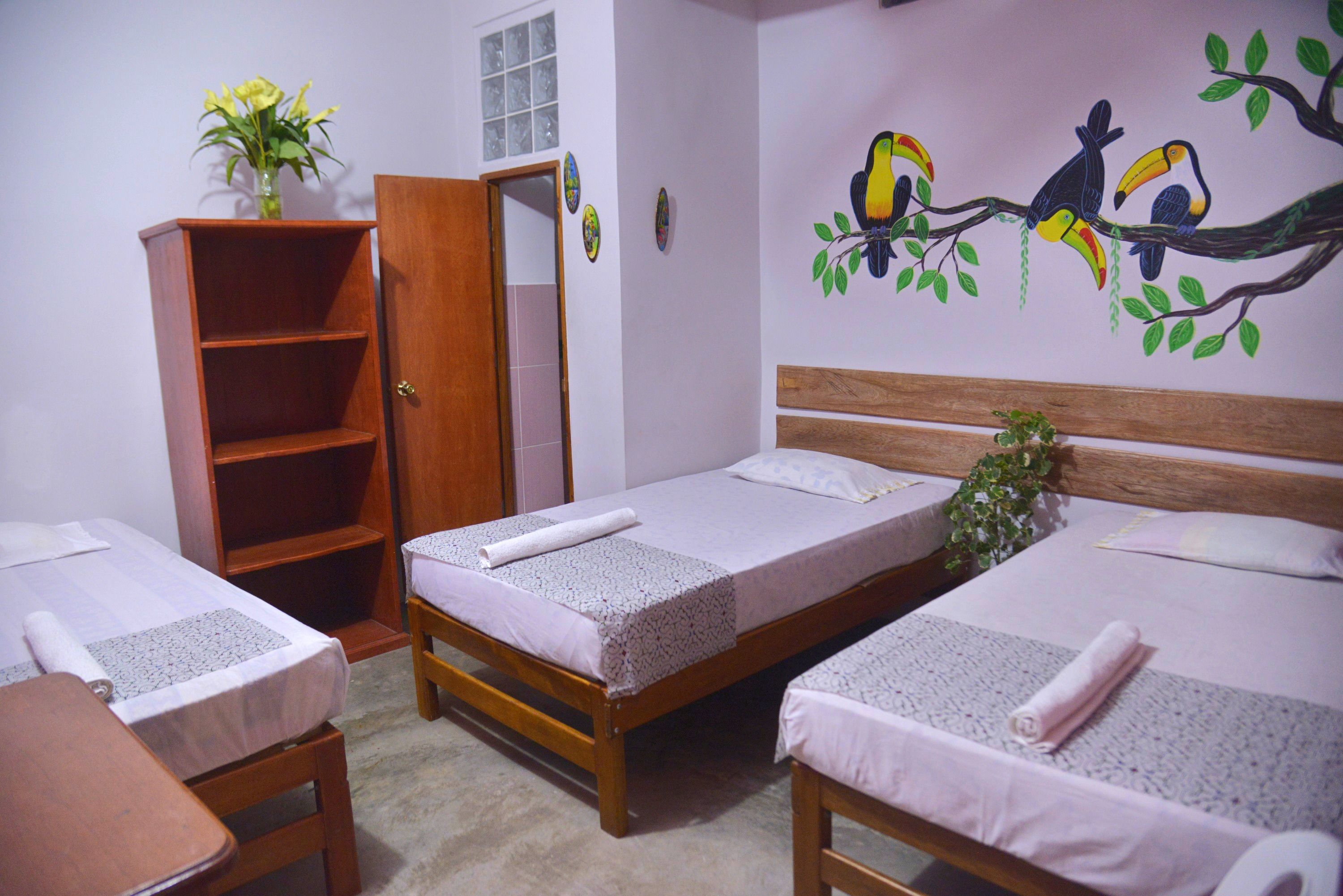 Photo - Amazon House Hostel