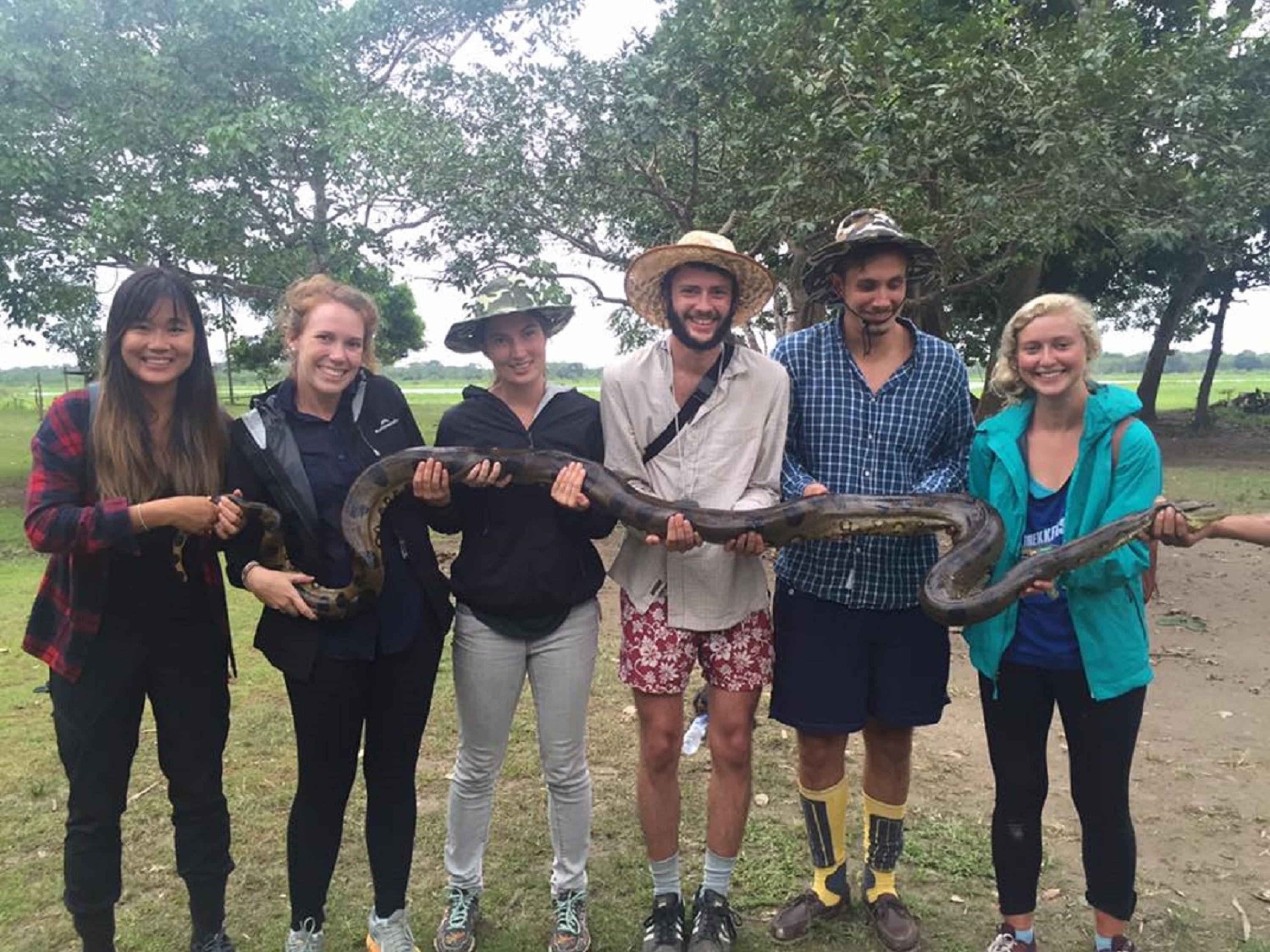 Photo - Amazon House Hostel