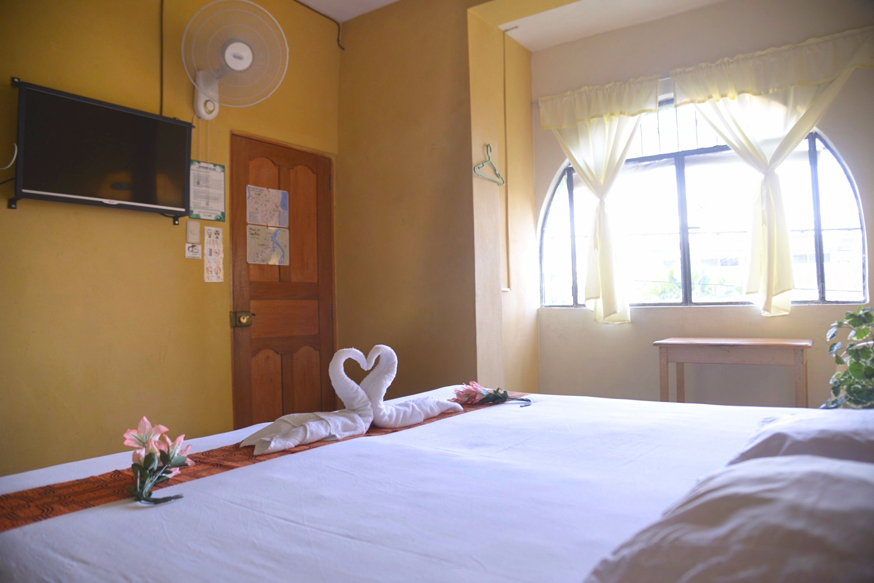 Photo - Amazon House Hostel