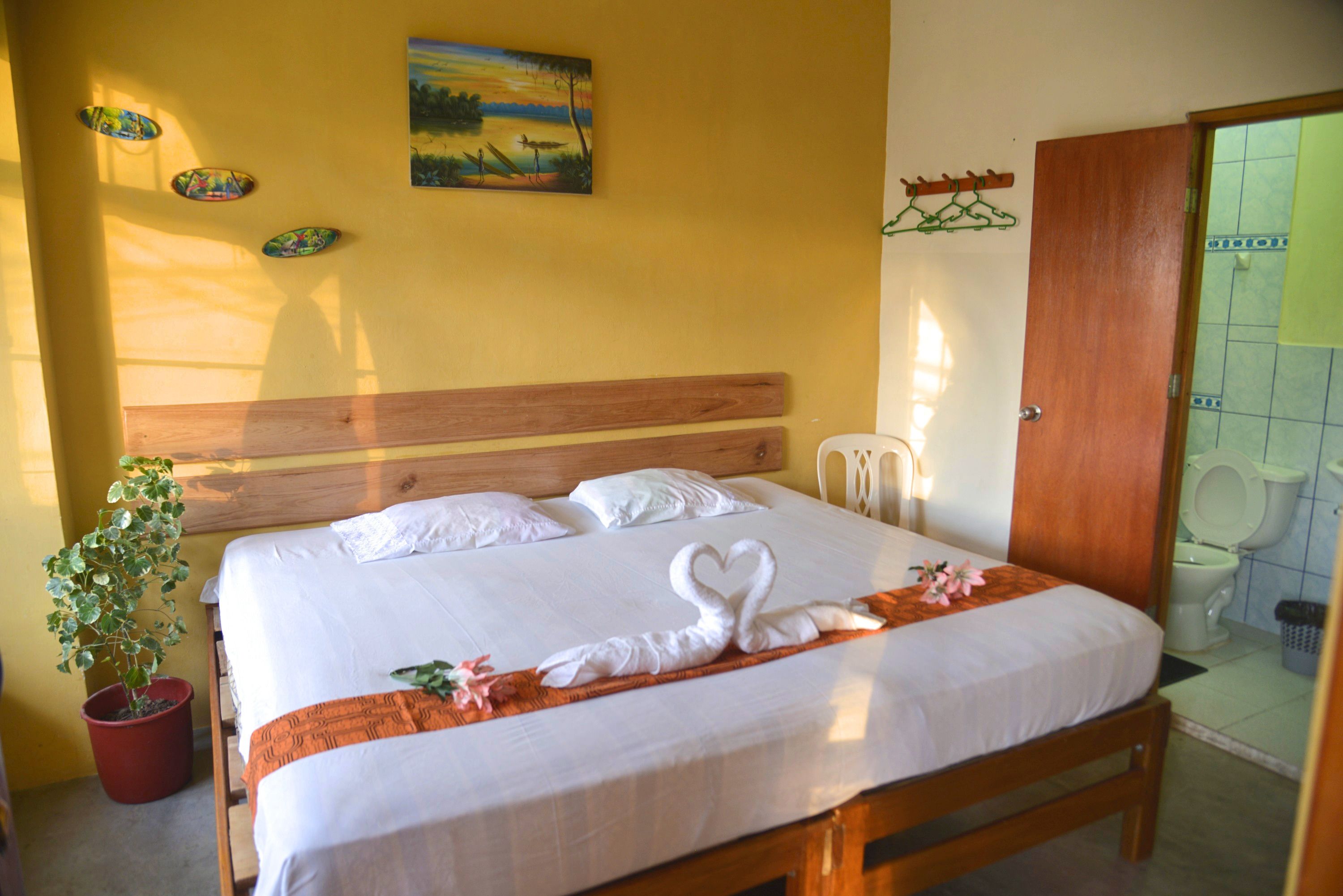 Photo - Amazon House Hostel