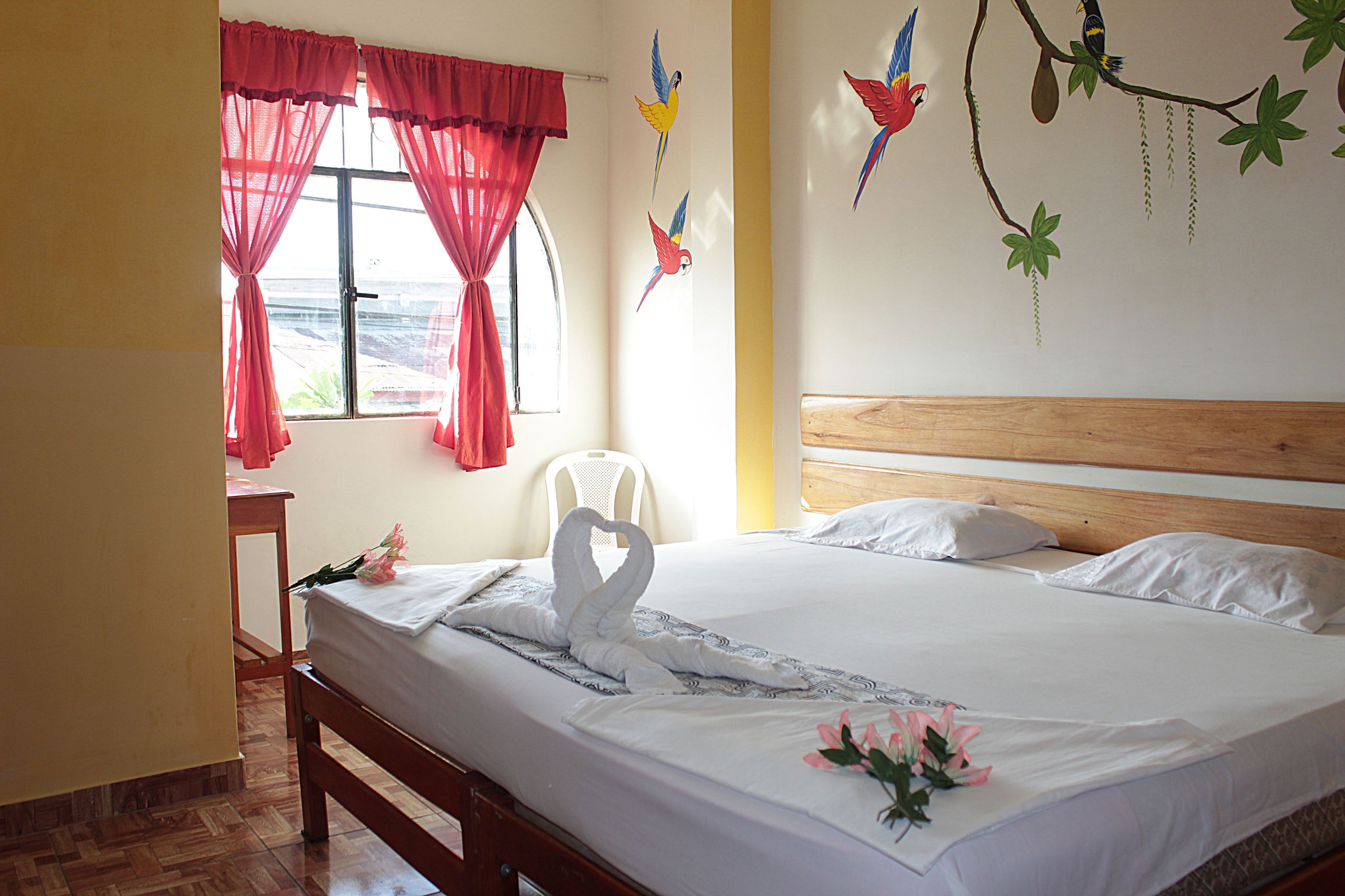 Photo - Amazon House Hostel