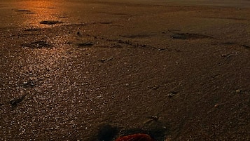 On the beach