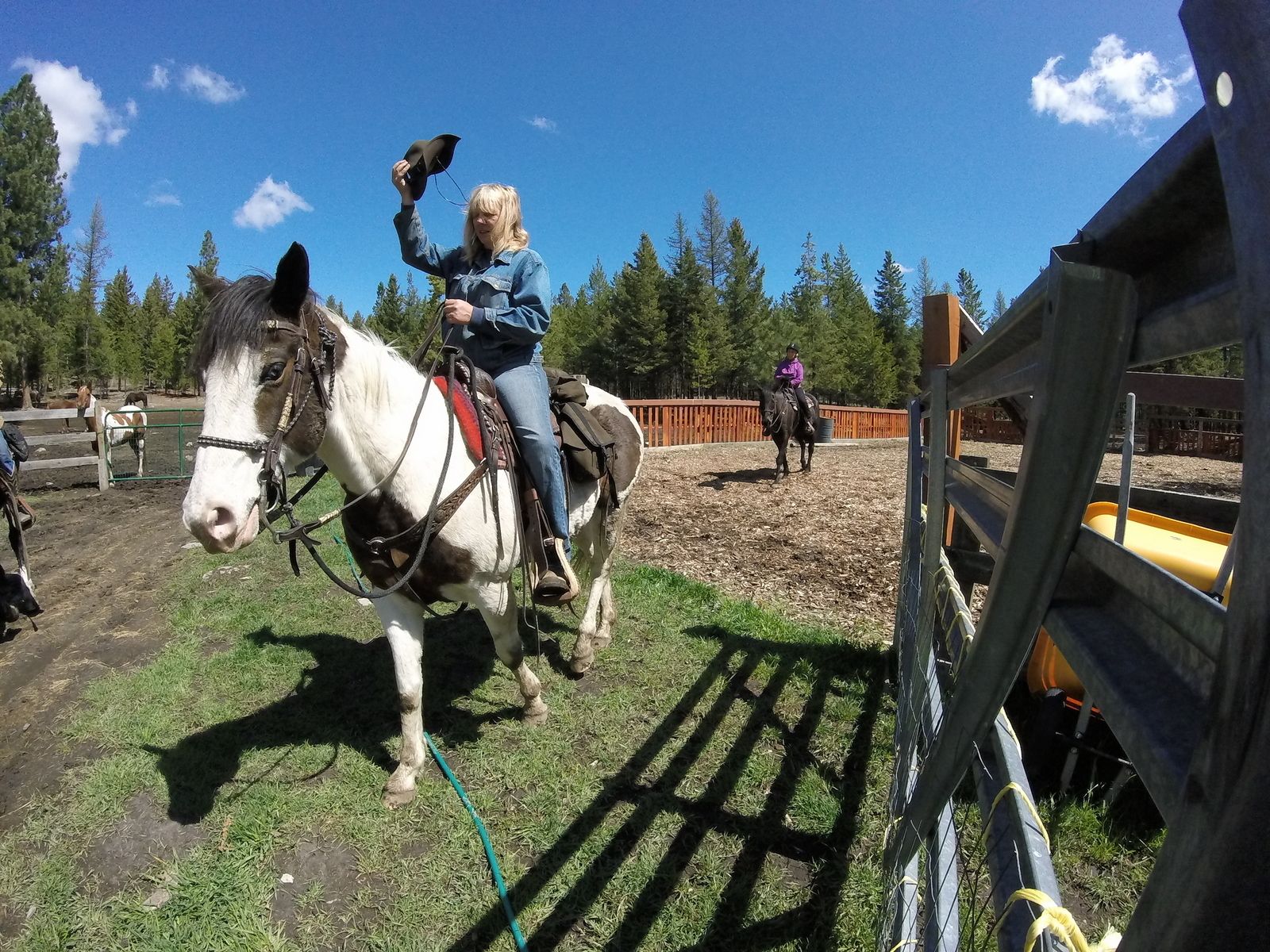 A person riding a horse in an outdoor arena with a fence and trees in the background.