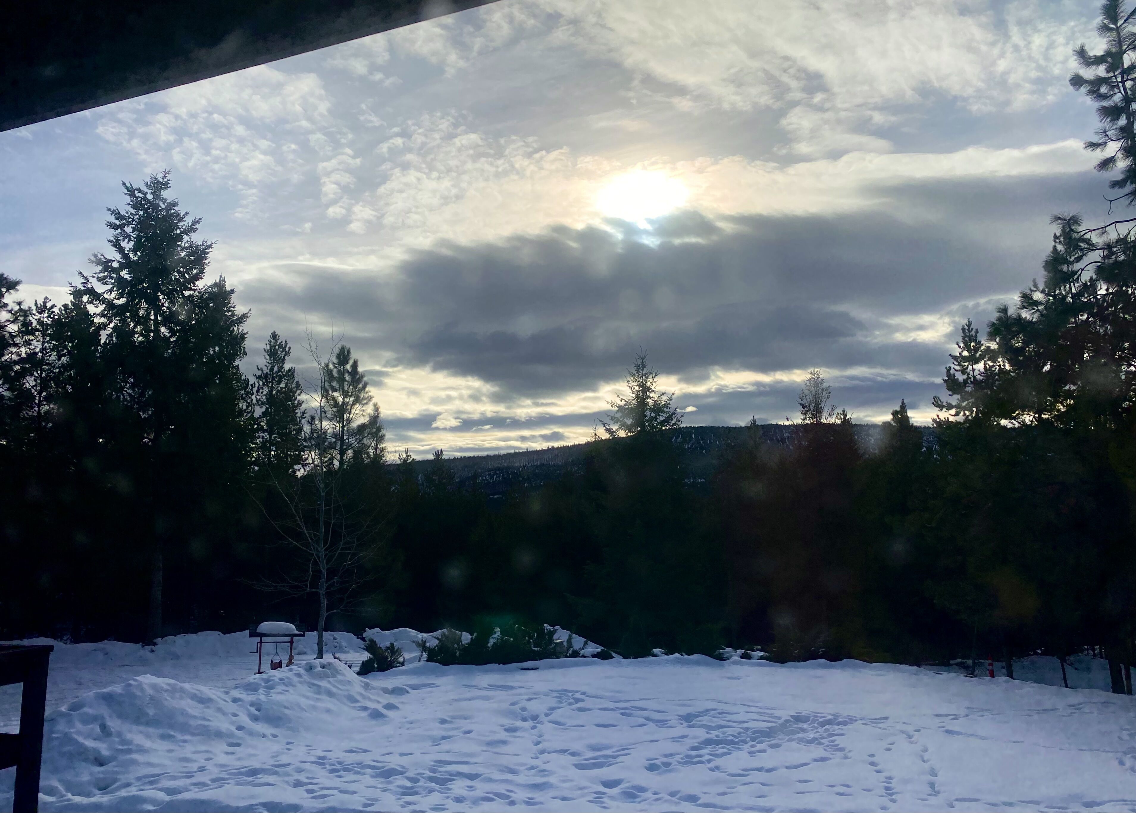 A snowy landscape with a view of the sun peeking through clouds, surrounded by trees.