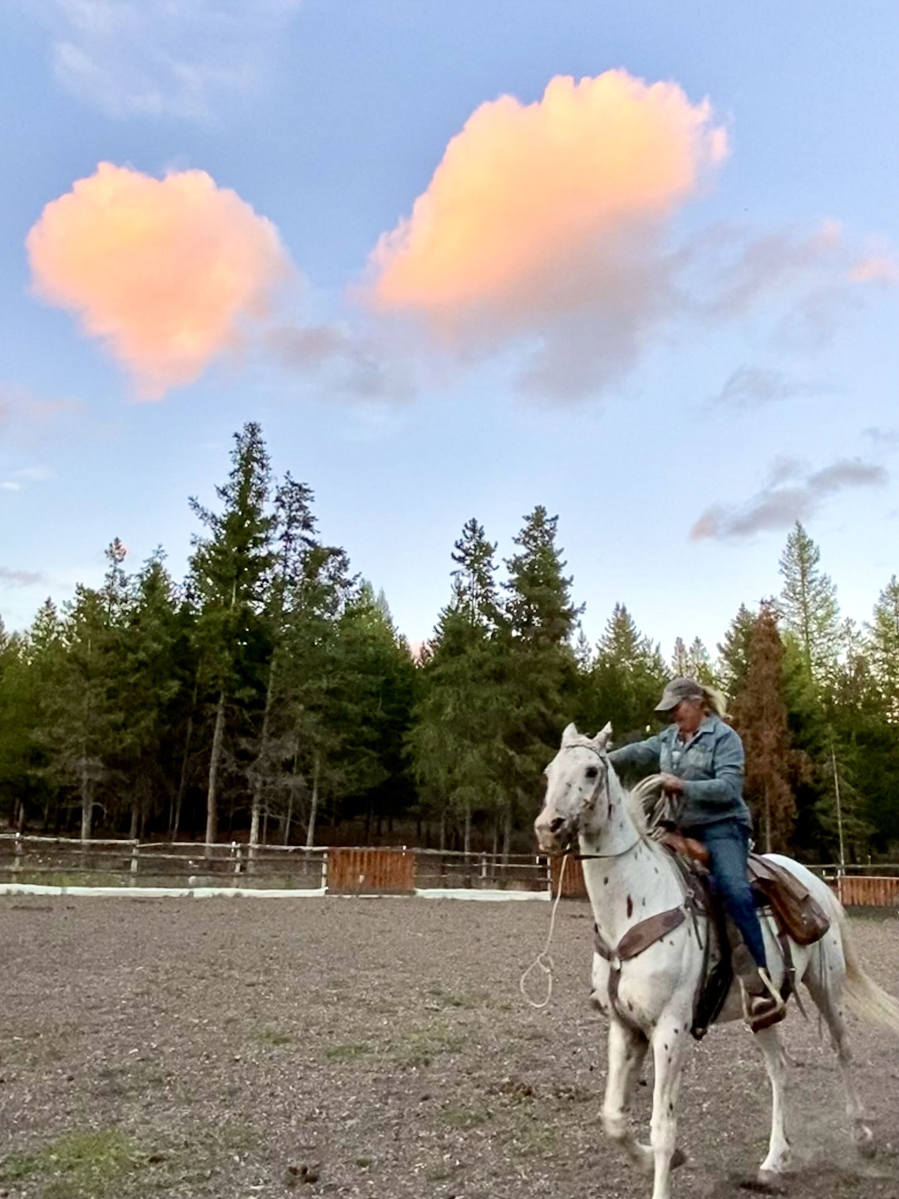 A person riding a white horse in an outdoor arena surrounded by trees.